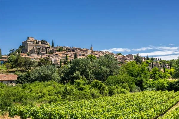 LeBeauvallon-Vineyards2.jpg