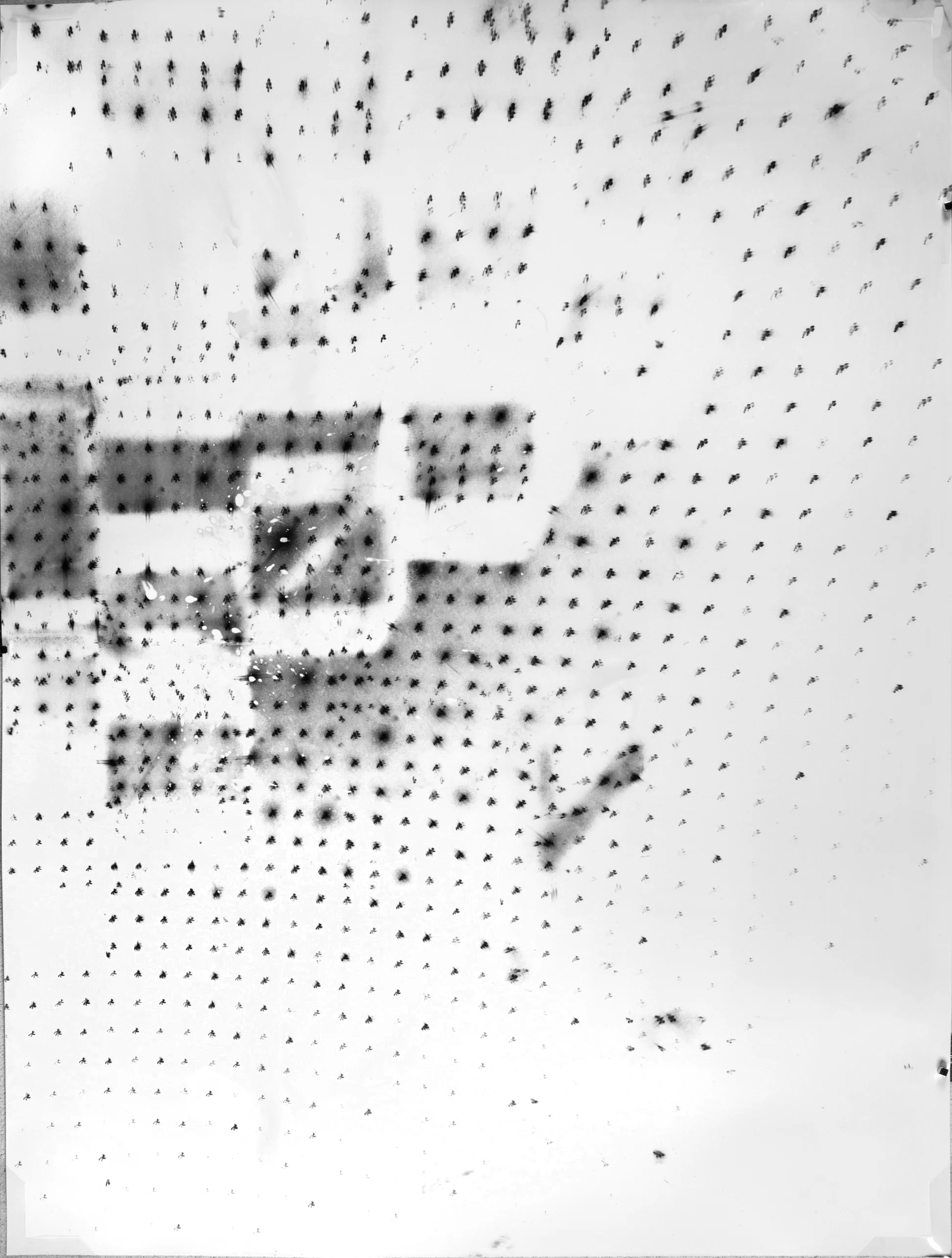 Dichroic Diffraction
