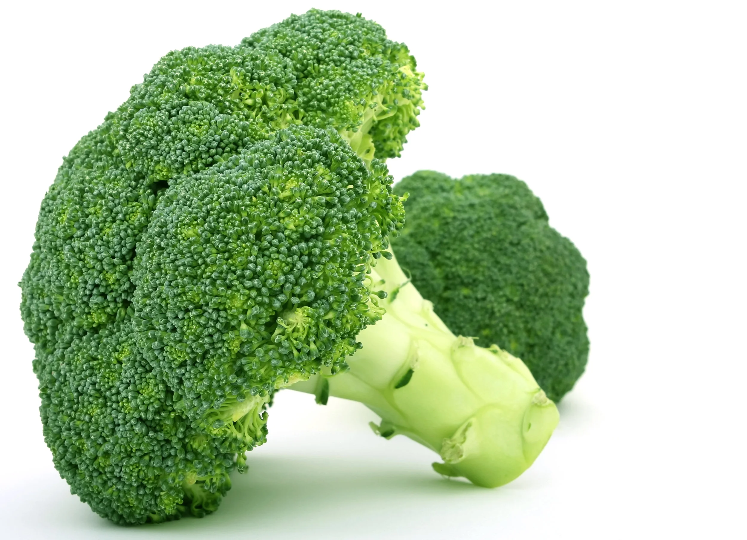 broccoli.jpg
