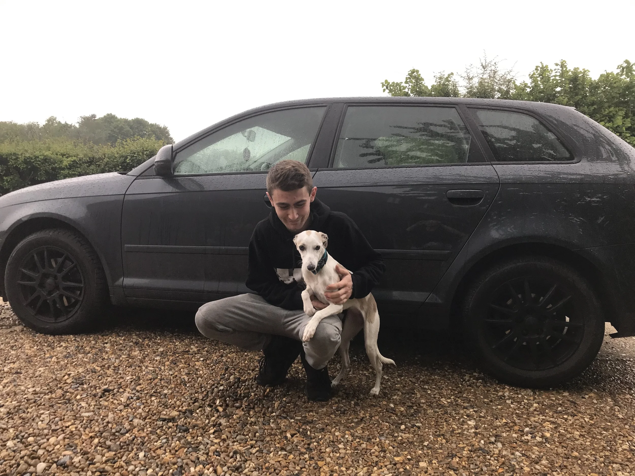 Back‑seat guarantor could slash the cost of car cover for the young