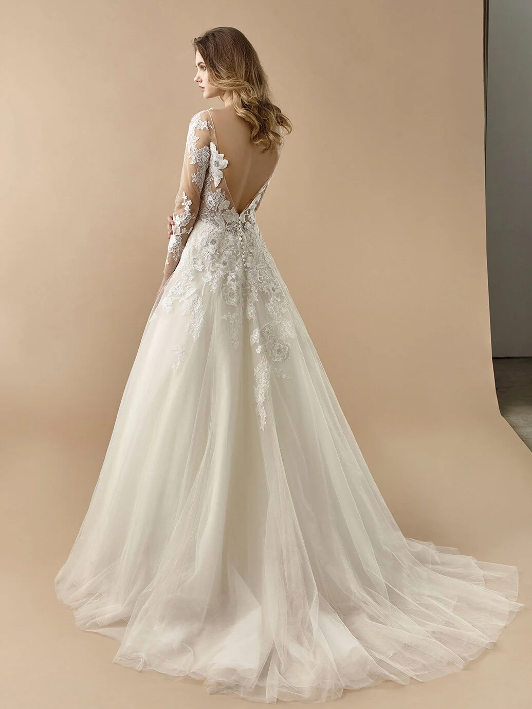BT20-21 -Dona - Back.jpg