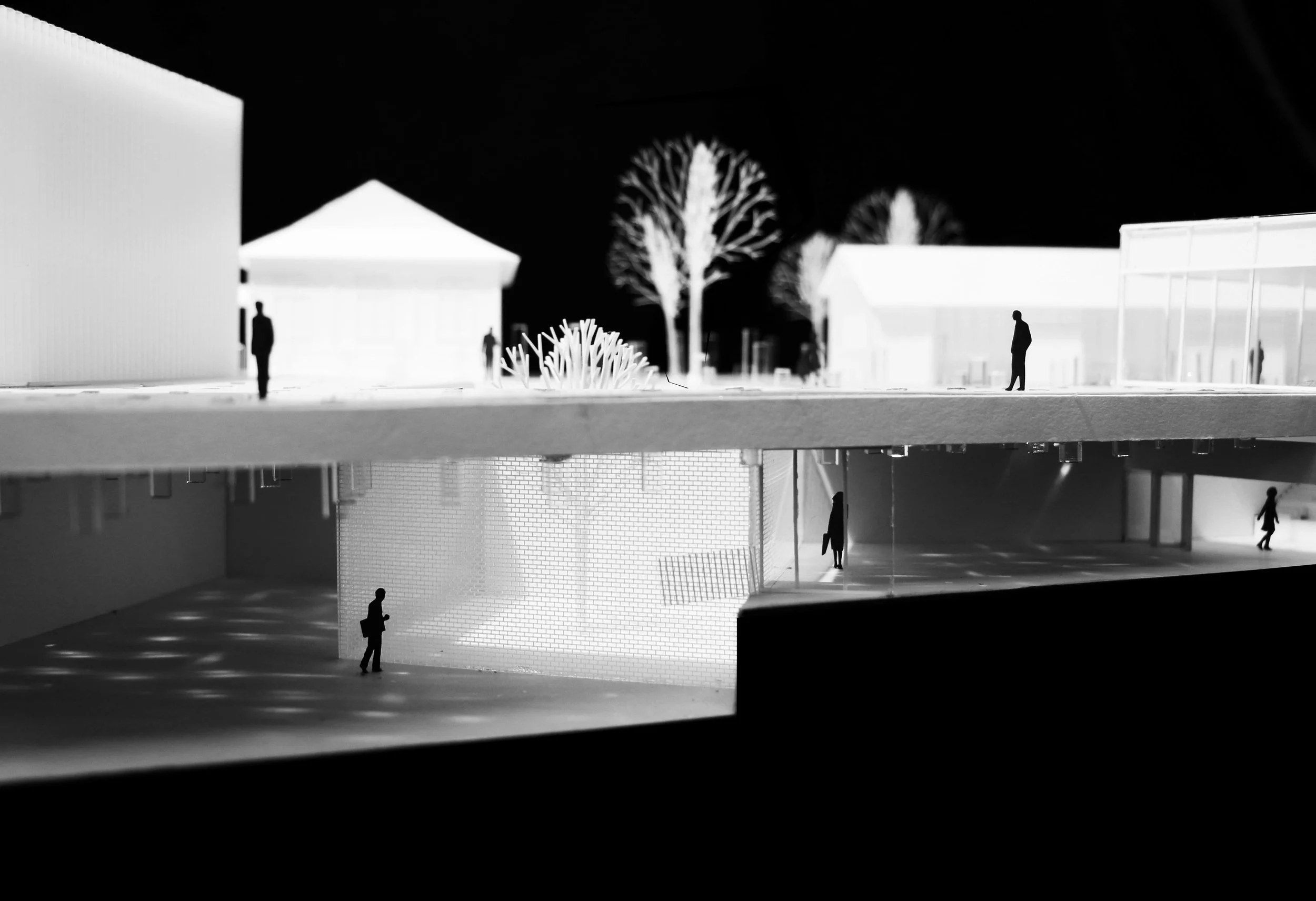 Design proposal by WONG Yim Ling Tiffanny