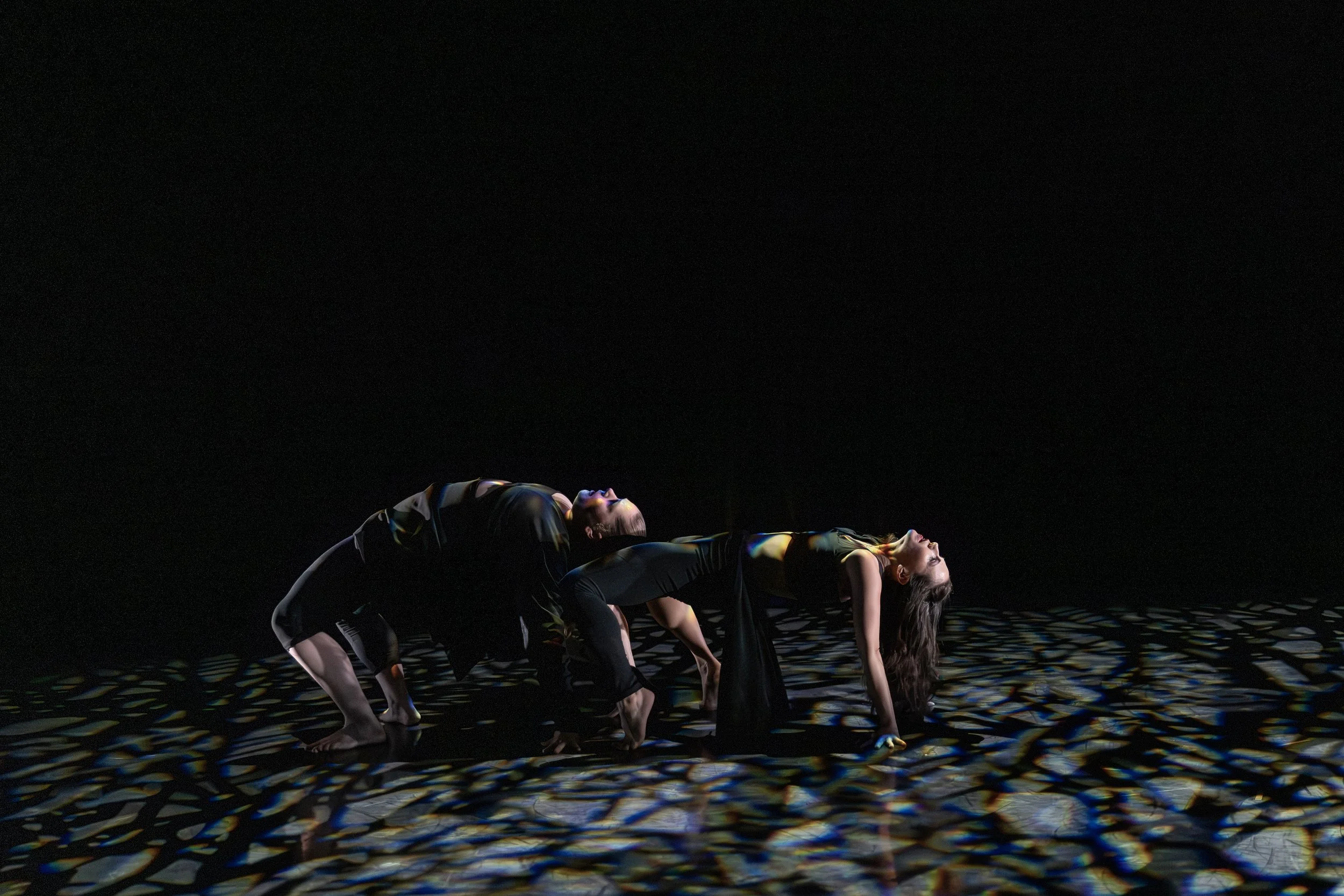 ARD Presents an Evening at The Istanbul Fringe Festival 