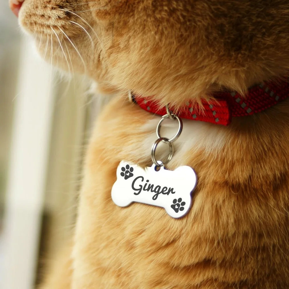 Minecraft Id Tag Cat Minecraft Cat By Adam Bajgar Download Free