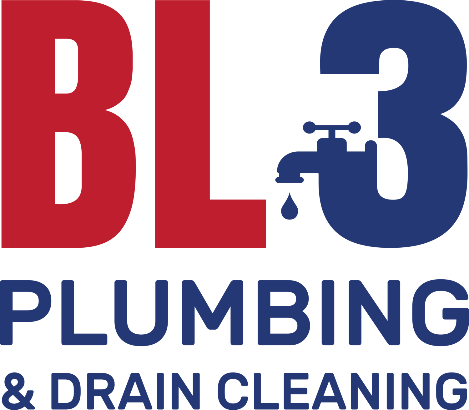 BL3 Plumbing & Drain Cleaning
