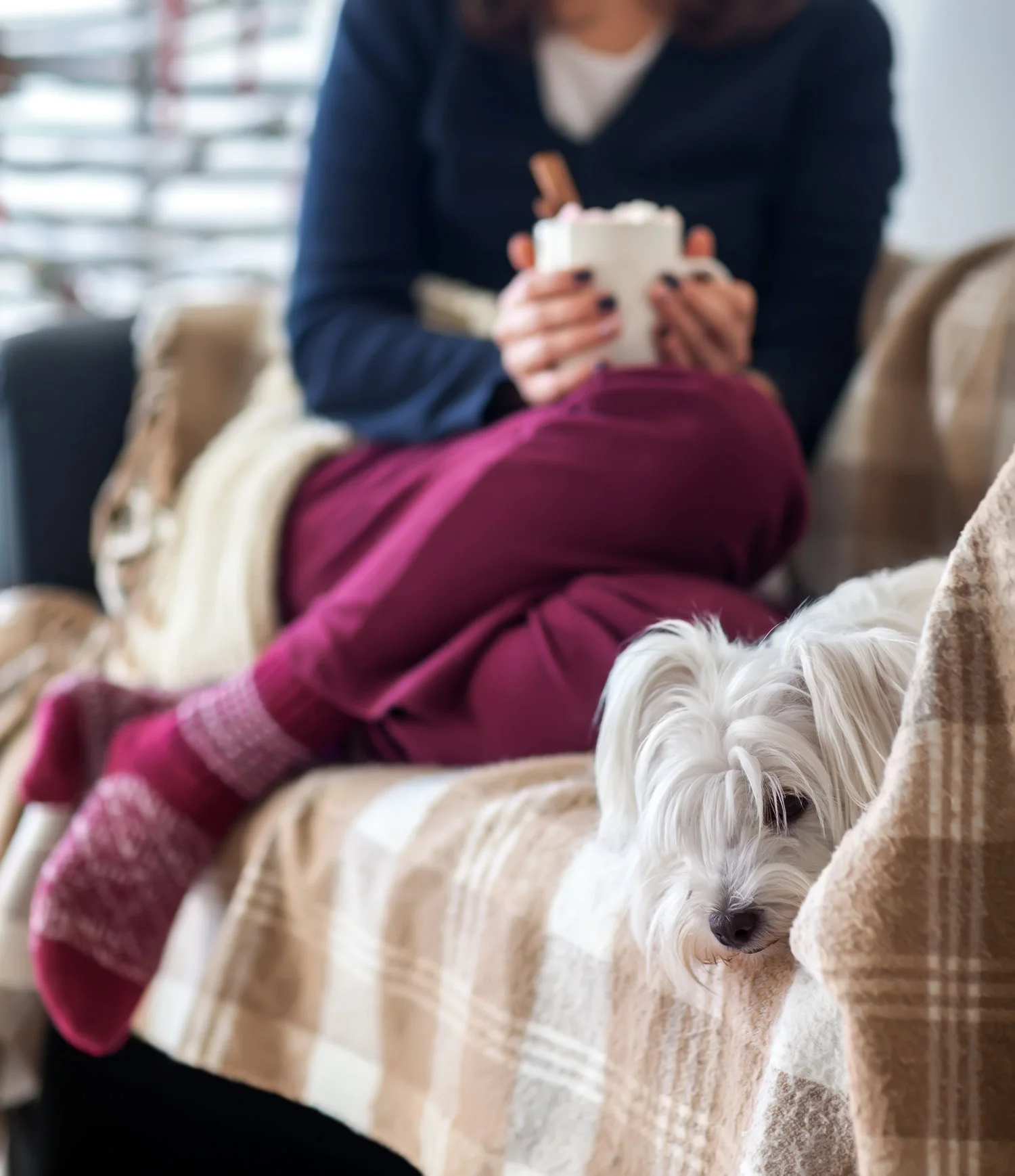 8 Winter Safety Tips: Keeping Your Home Cozy All Season Long