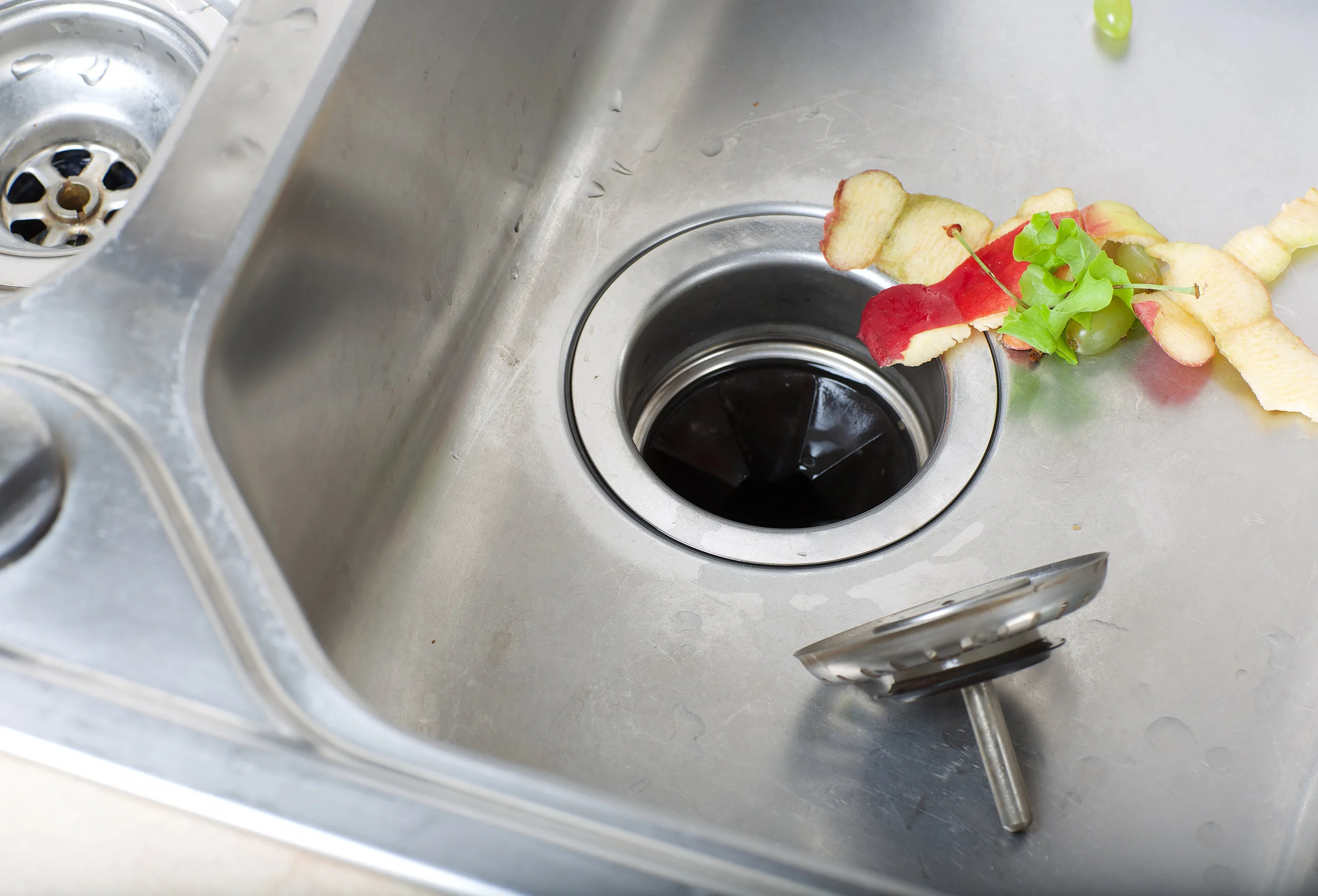13 Garbage Disposal Do’s and Don’ts — BL3 Plumbing & Drain Cleaning