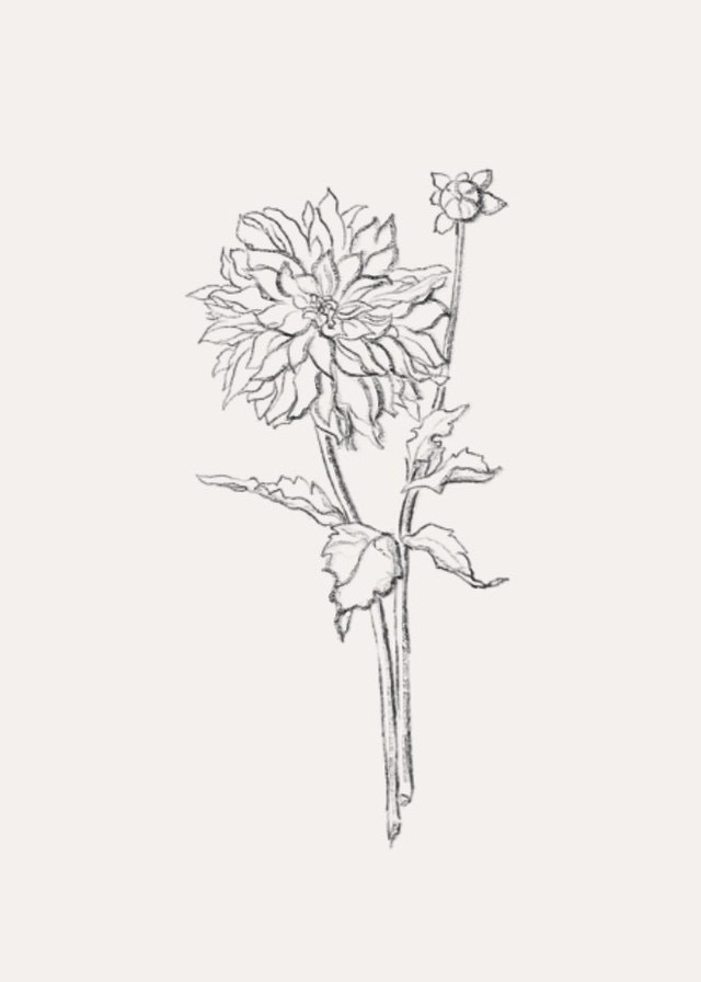 Framed Florals Interviews // Wedding Flower Care