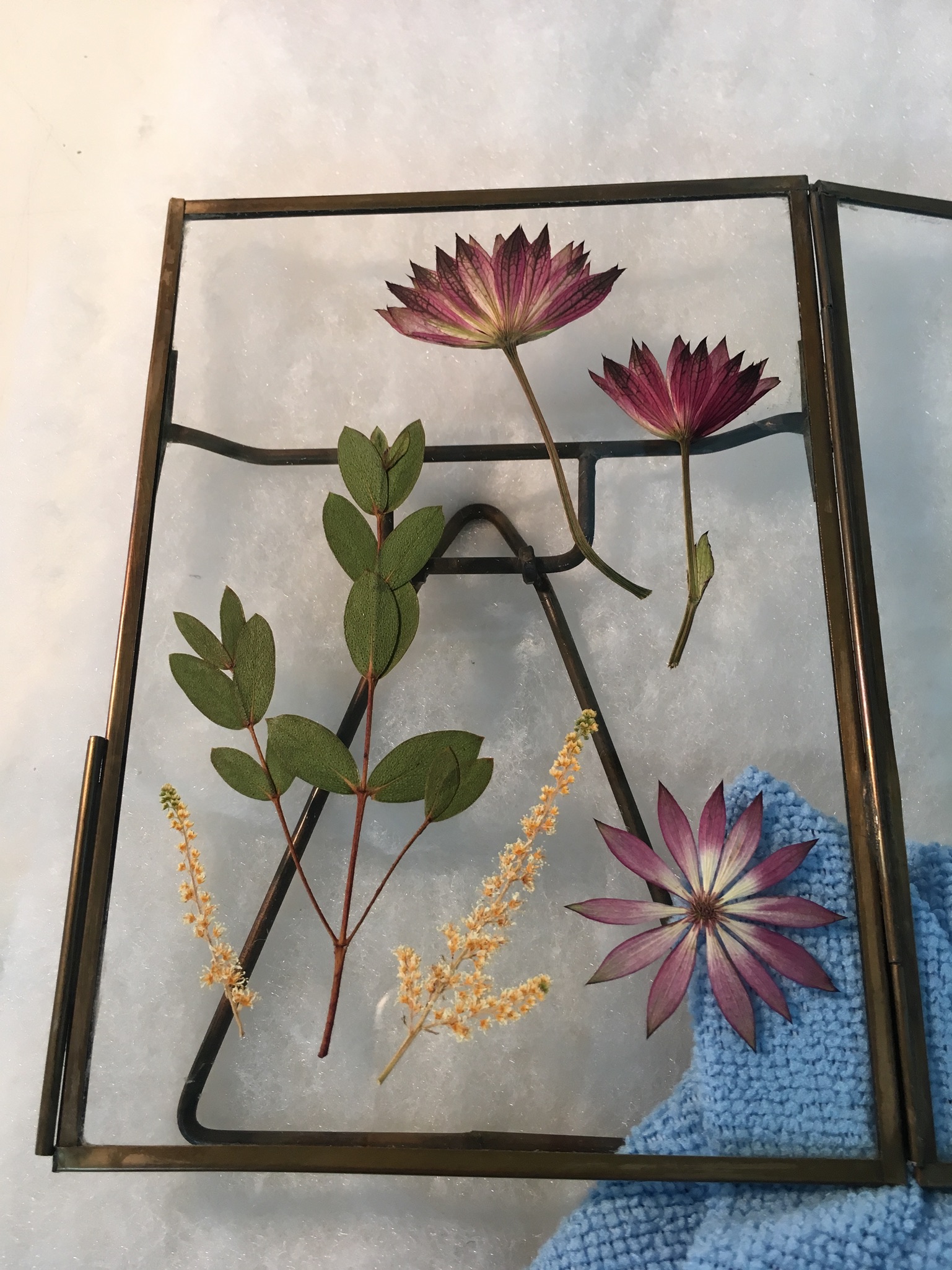 Framed Pressed Flowers Under Glass, 9 in x 9 in