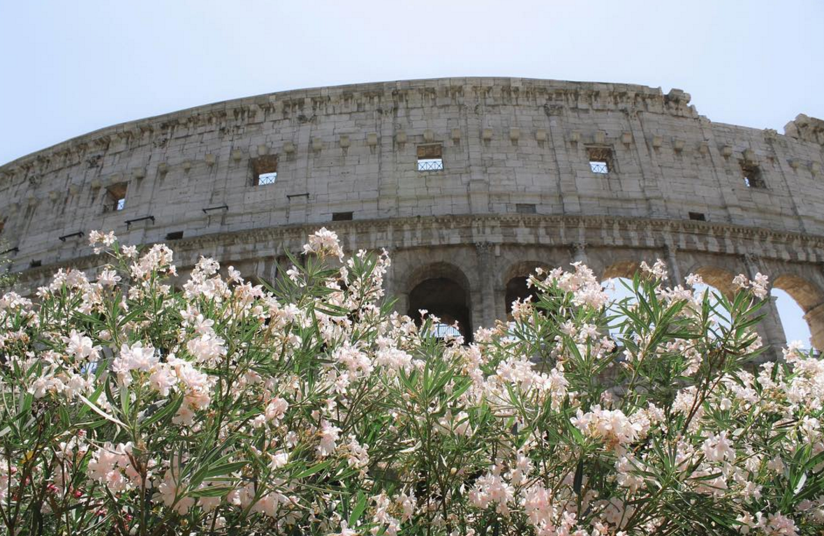 Framed Florals Travels //  Rome, Italy
