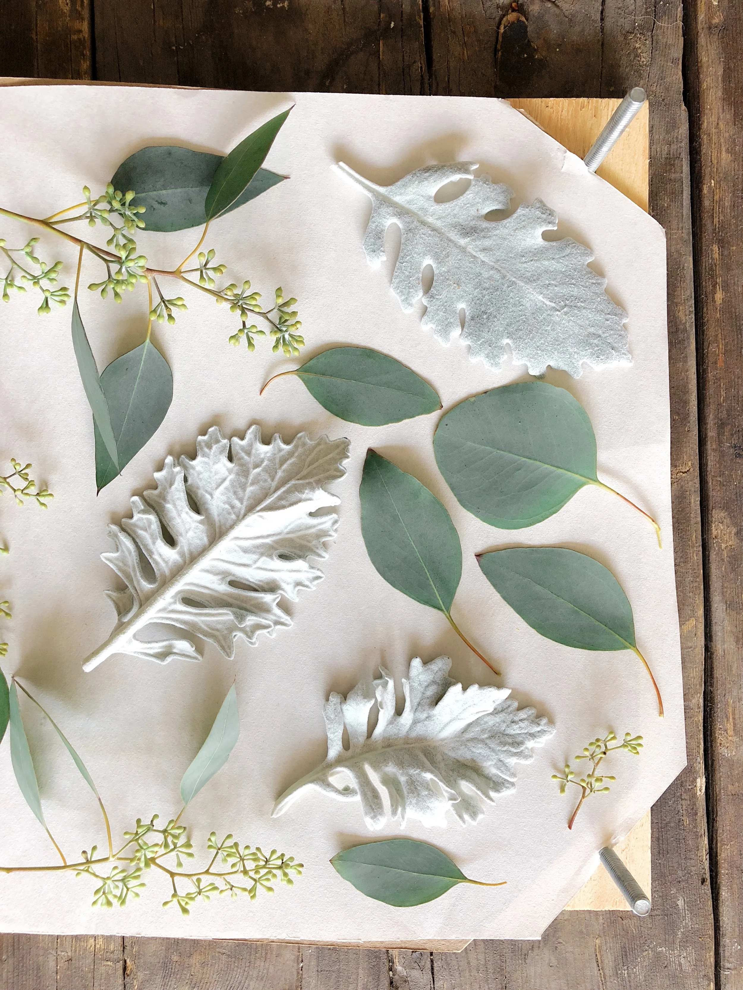 Framed Florals Deposit