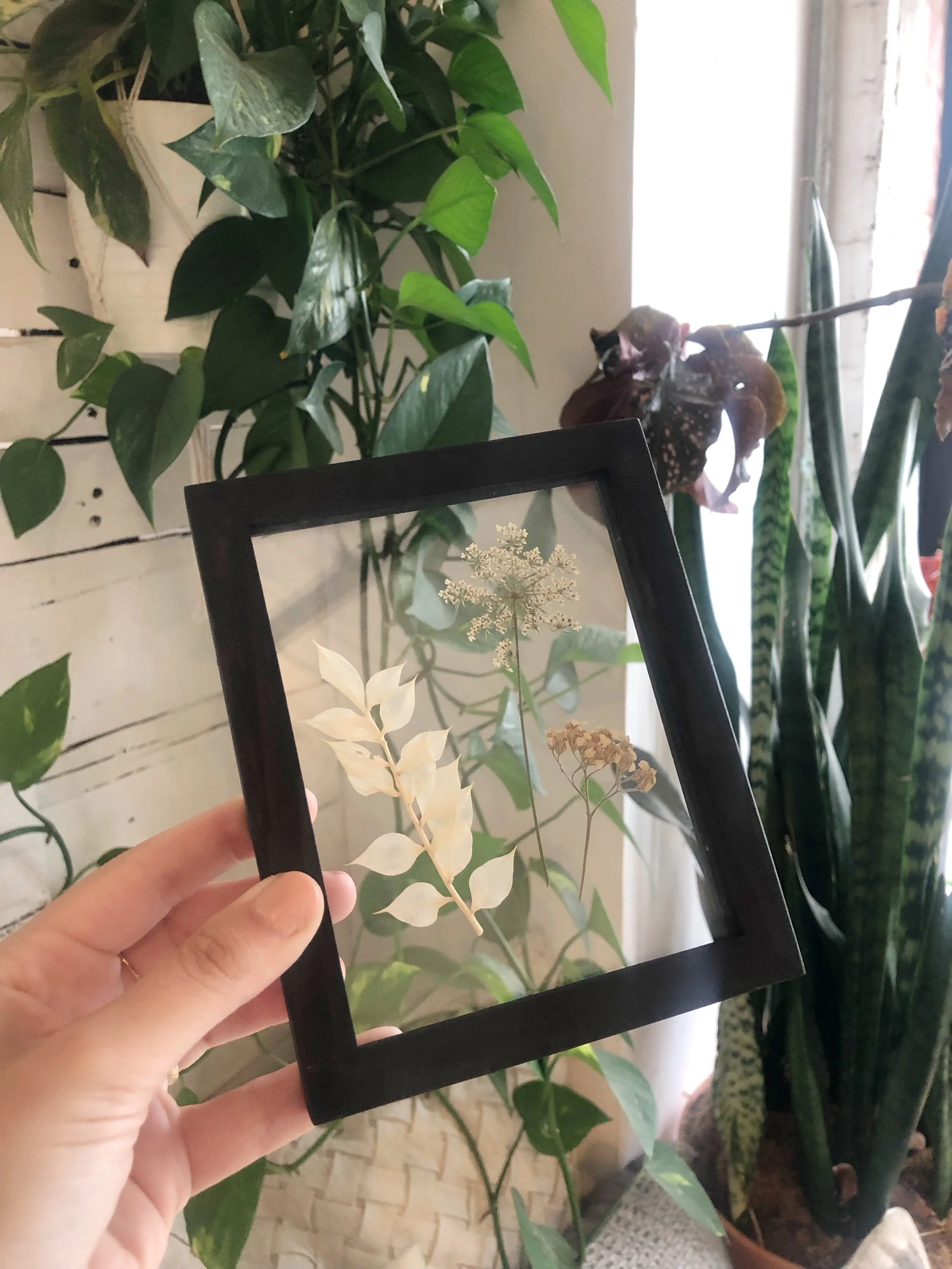 71D28CF2-2CB7-4106-A5B7-0FB7391CDCD5