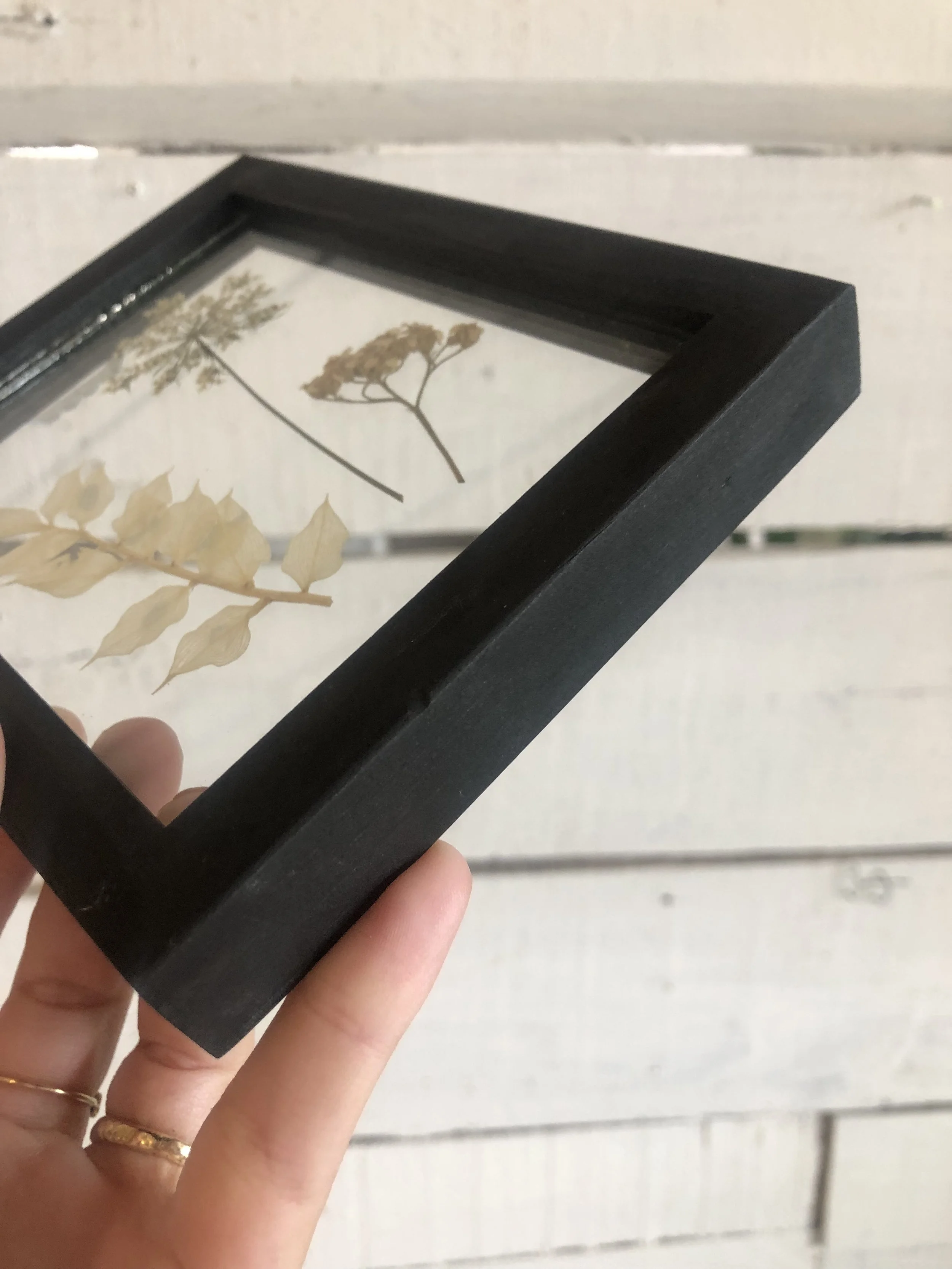 002988F6-BA64-4E1F-9D20-5D72AB6D414C