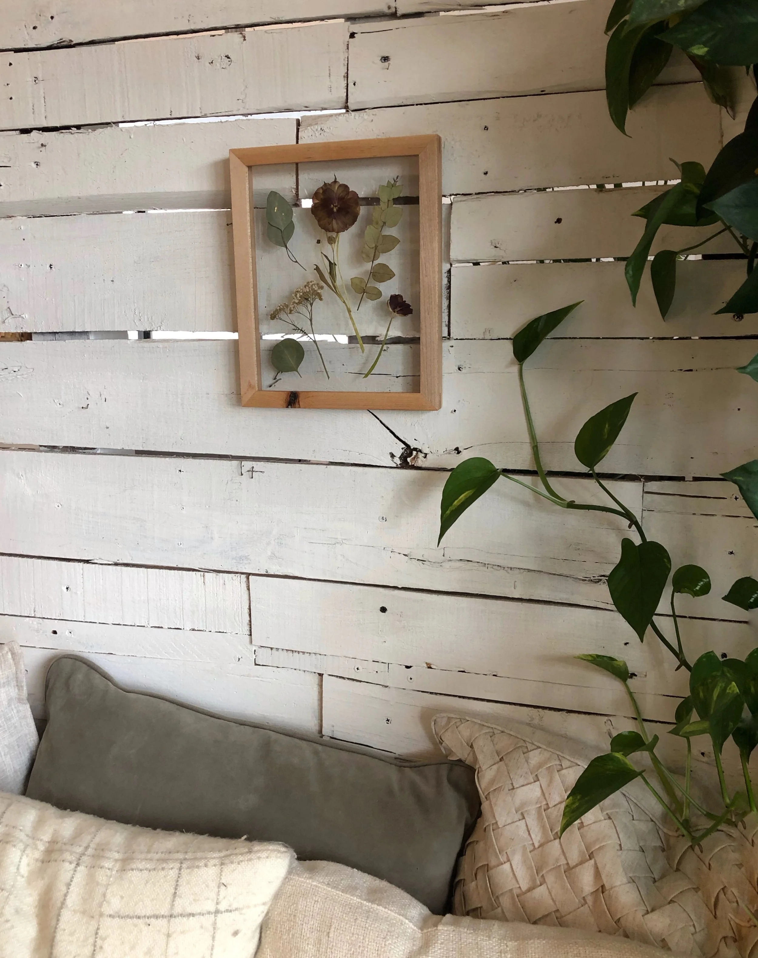 5CFF8E7F-622D-420B-B0DE-AD8610E47BB6