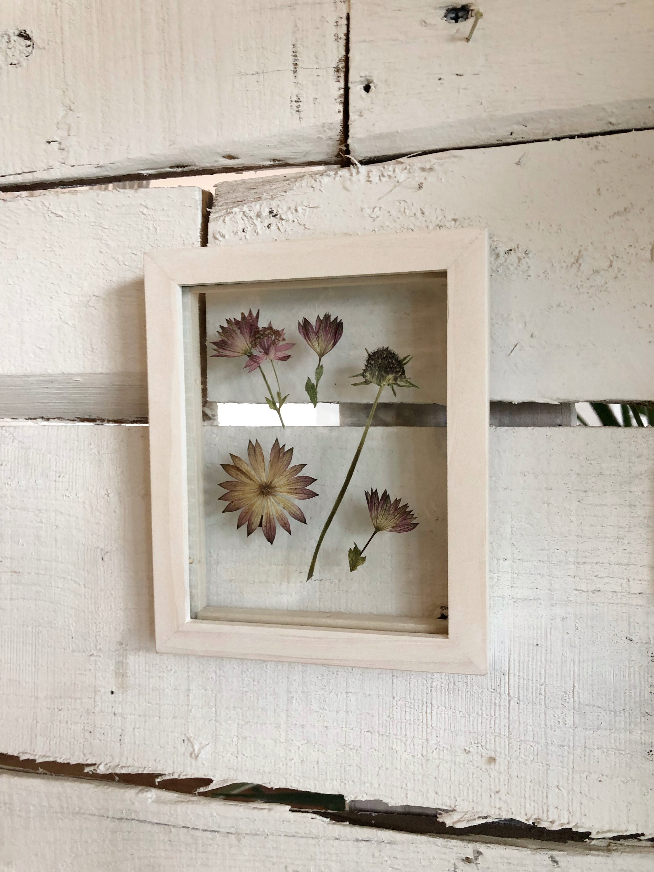 F9547609-BBB6-4E03-96F5-FA7126441171