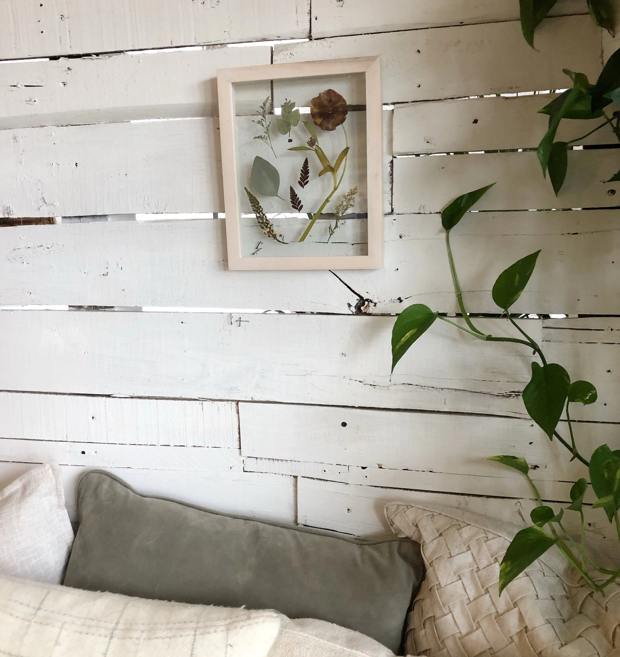 76899006-845A-4D2F-A9B2-35BDE5810E35