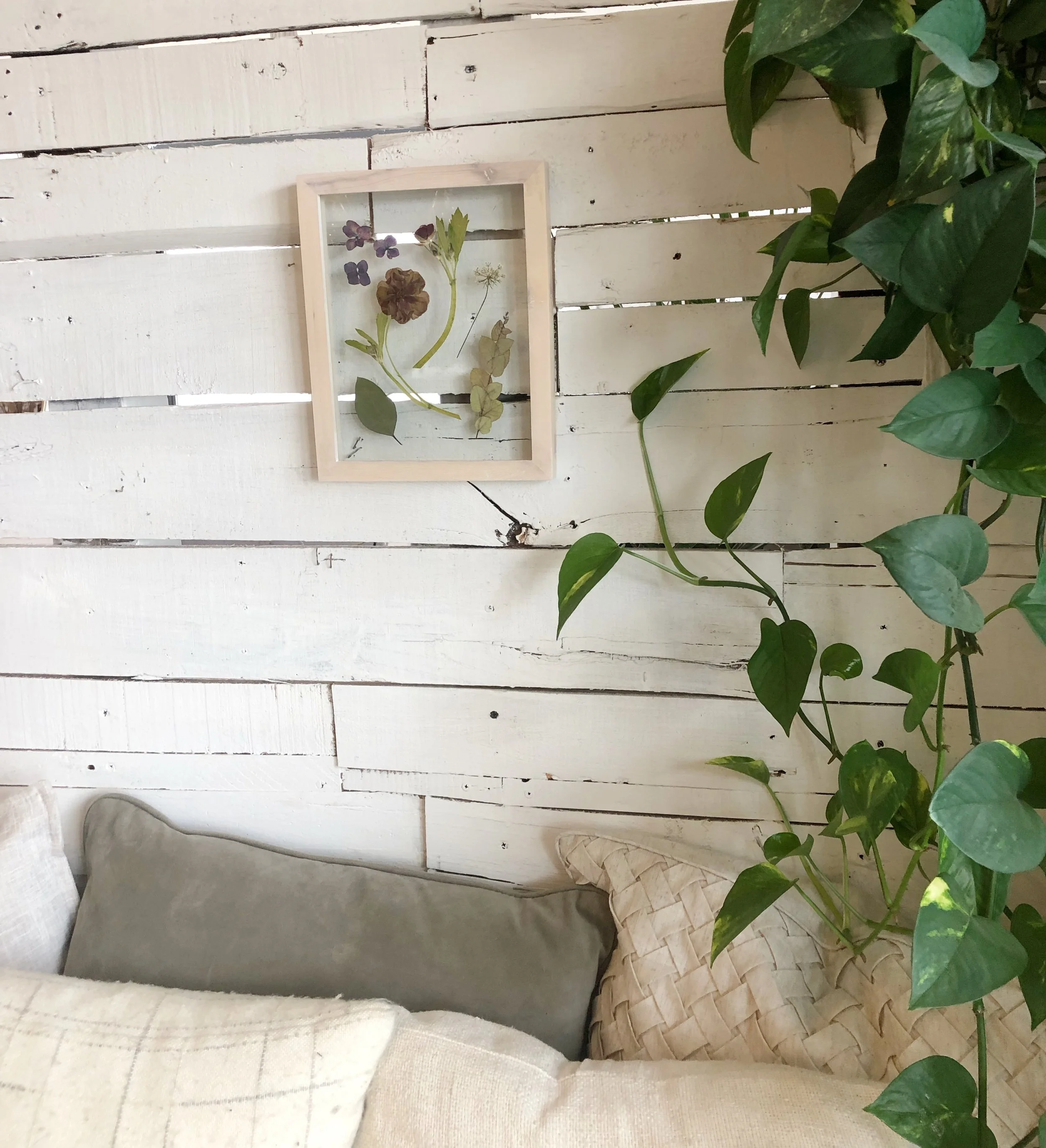 E9CE66AA-E972-4A32-B994-CAAEEA880904