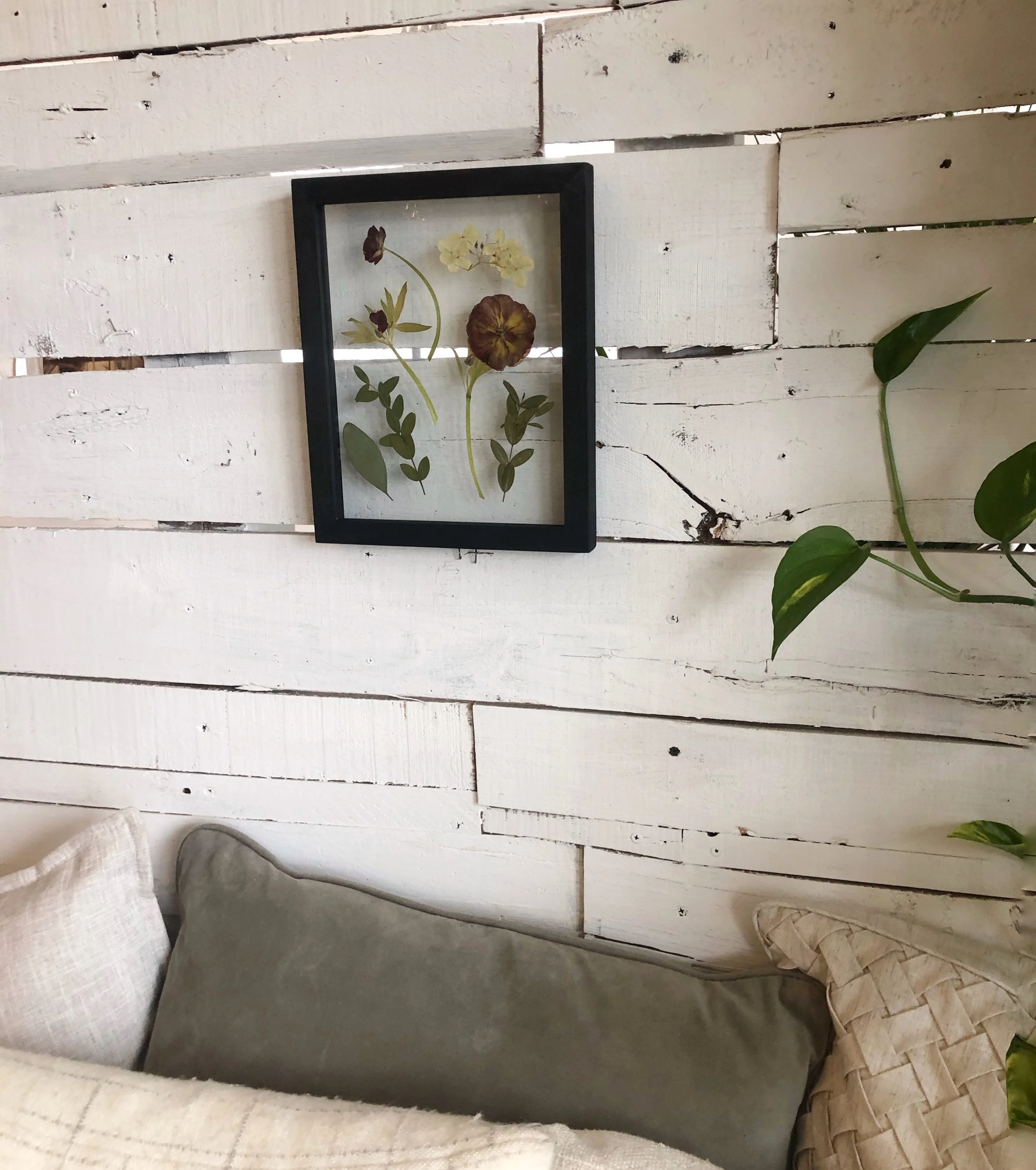 C0D43D09-F910-448F-81F6-050E8B4B7978