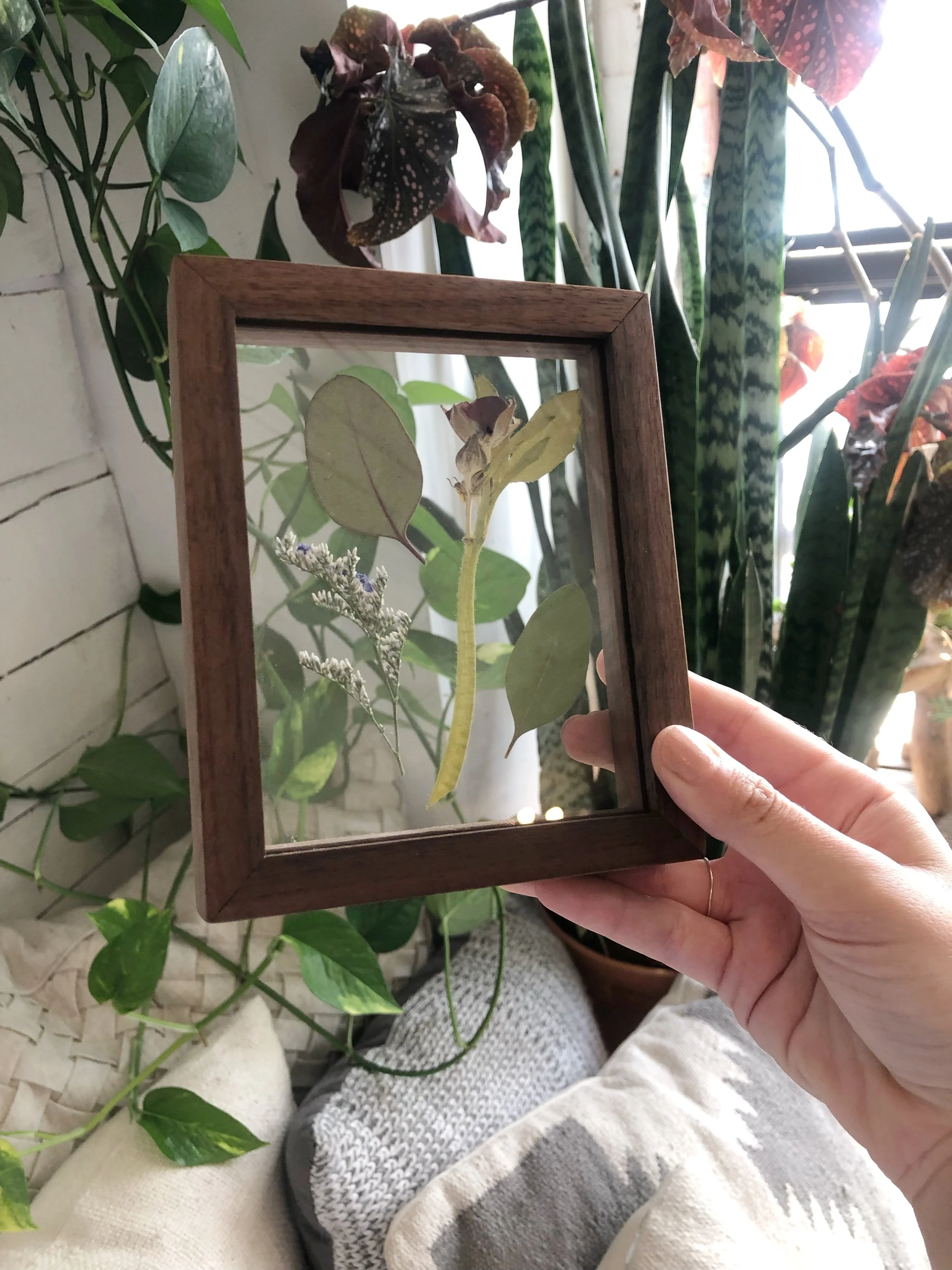 ACACA3B3-E3B6-4349-AB2A-EF7F2EE99C9C