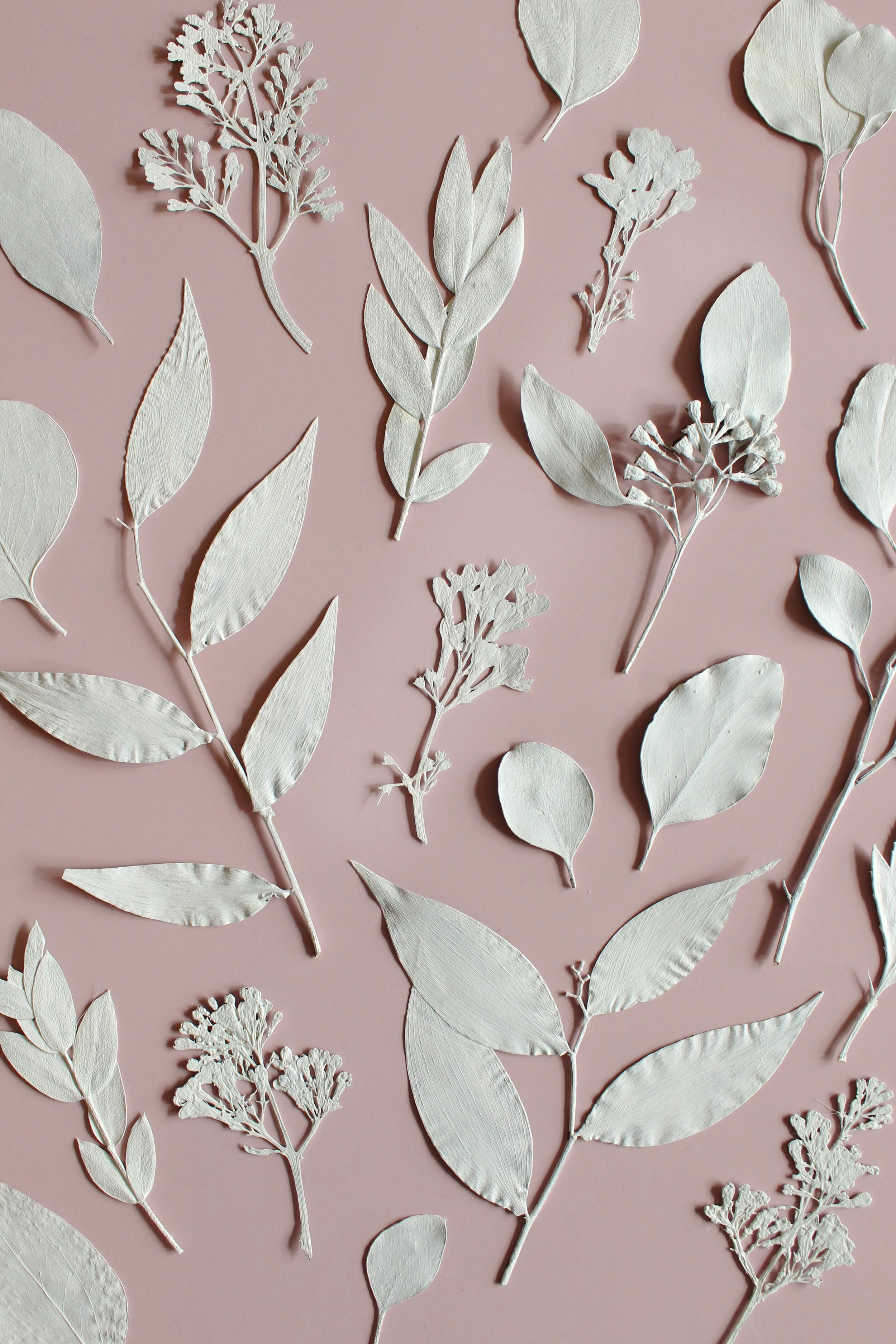 C3987063-CBA2-4ADD-B798-F362DC762BF2