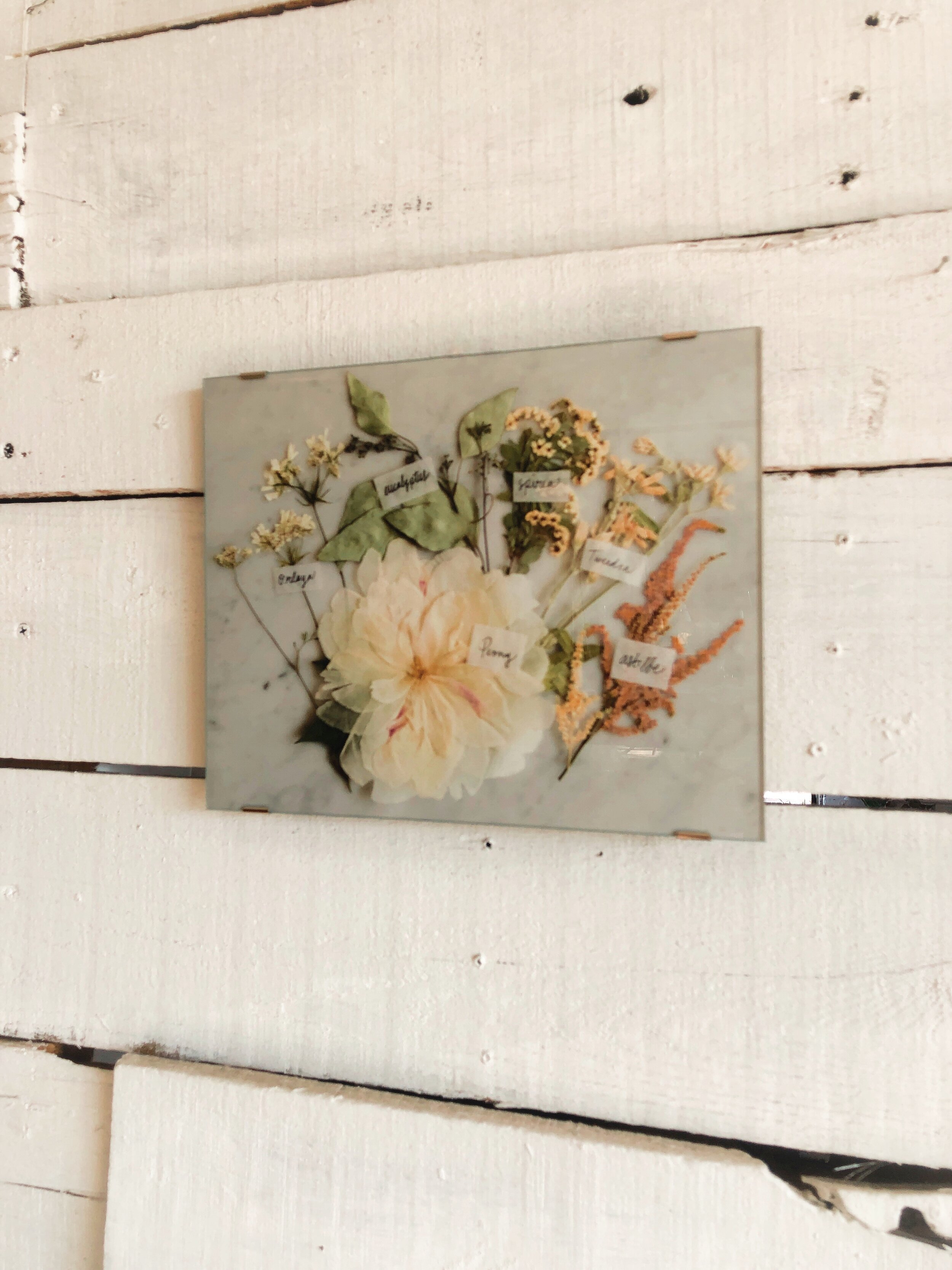 2E112A5C-29E5-4FF8-A3A7-389B274D484E