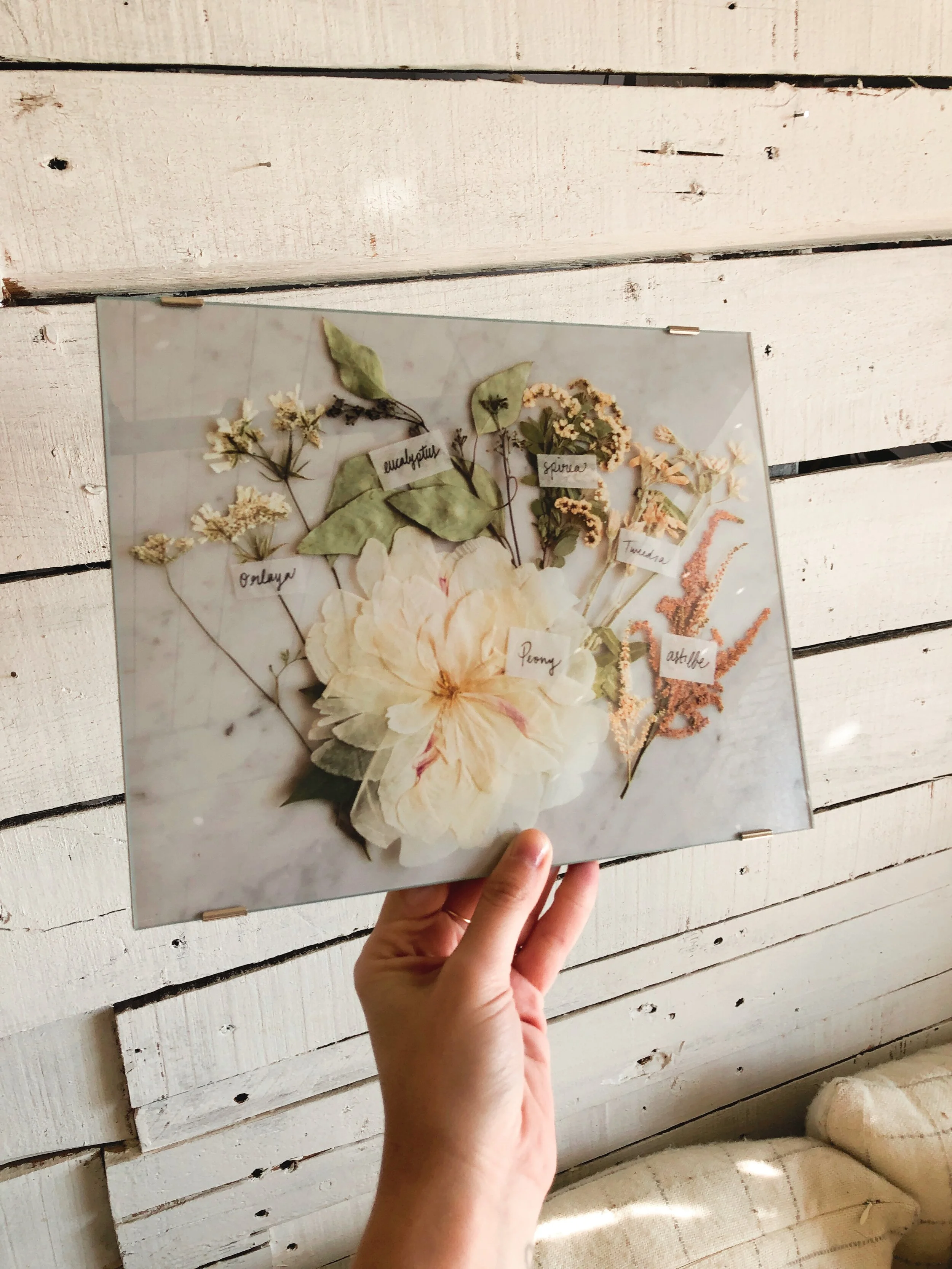 D117A145-7283-4310-8087-F17731281D07