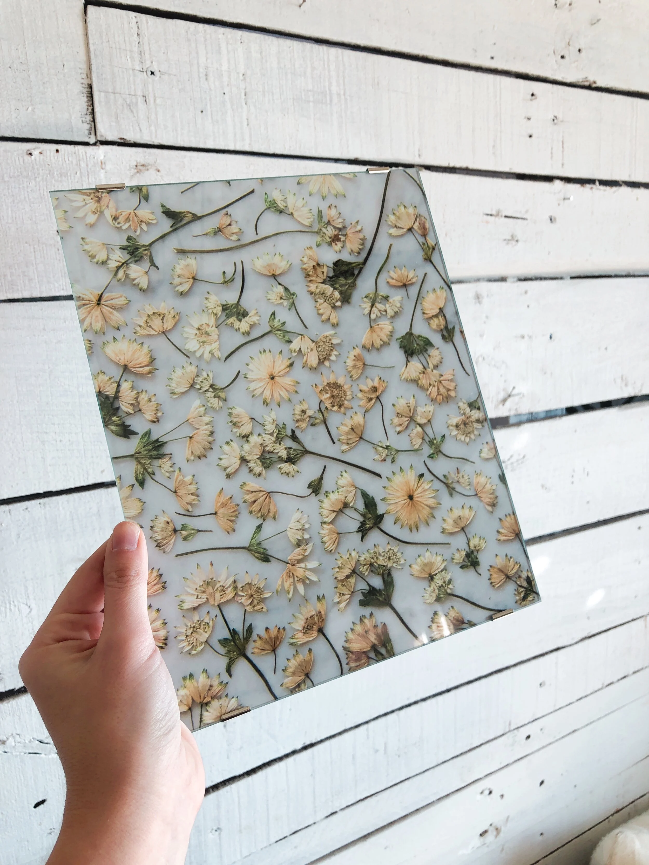 D817DCD2-B352-468A-B545-870A1149B612