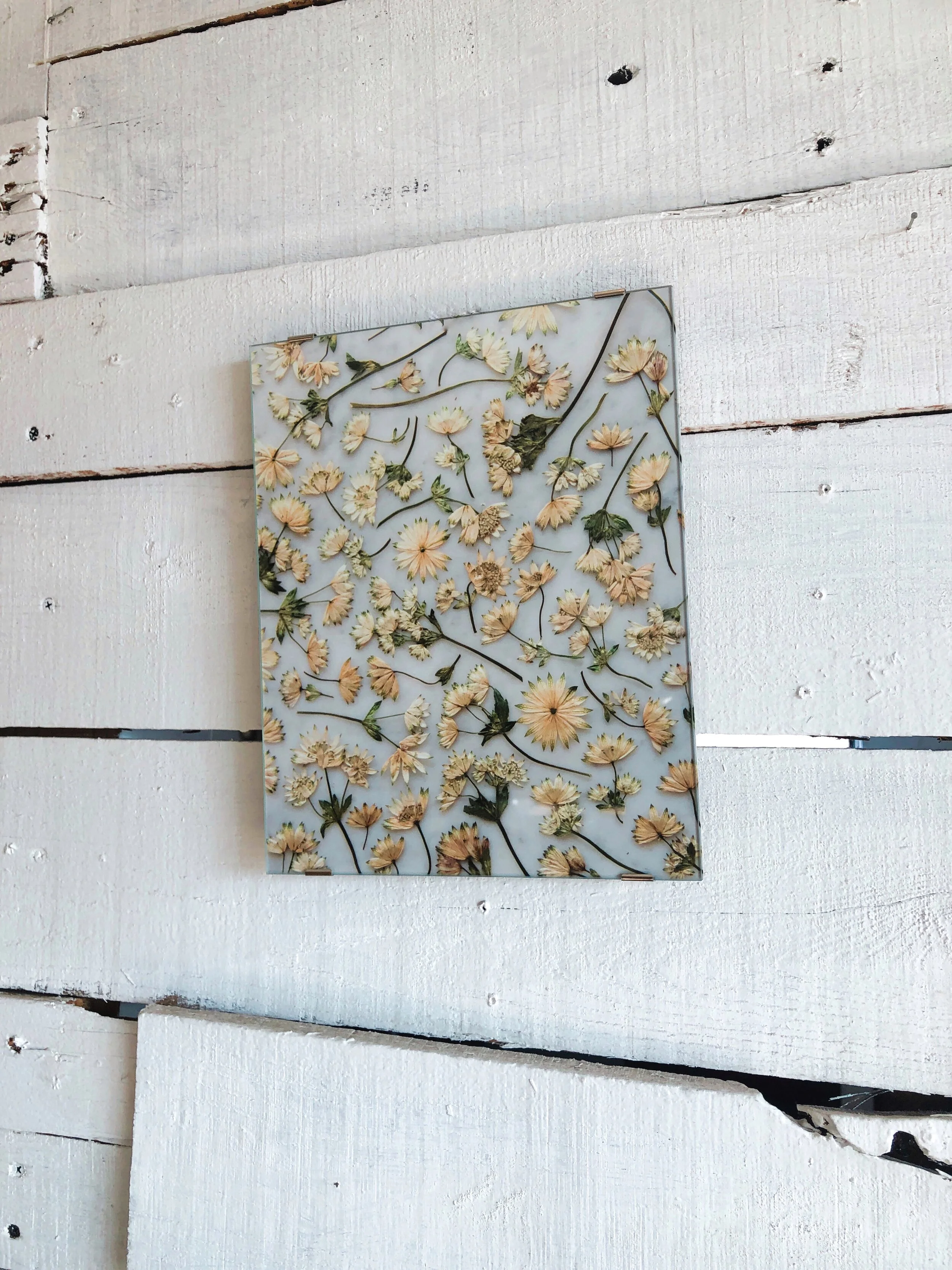 41C7805C-C01A-47BE-8A86-084A70DF7790