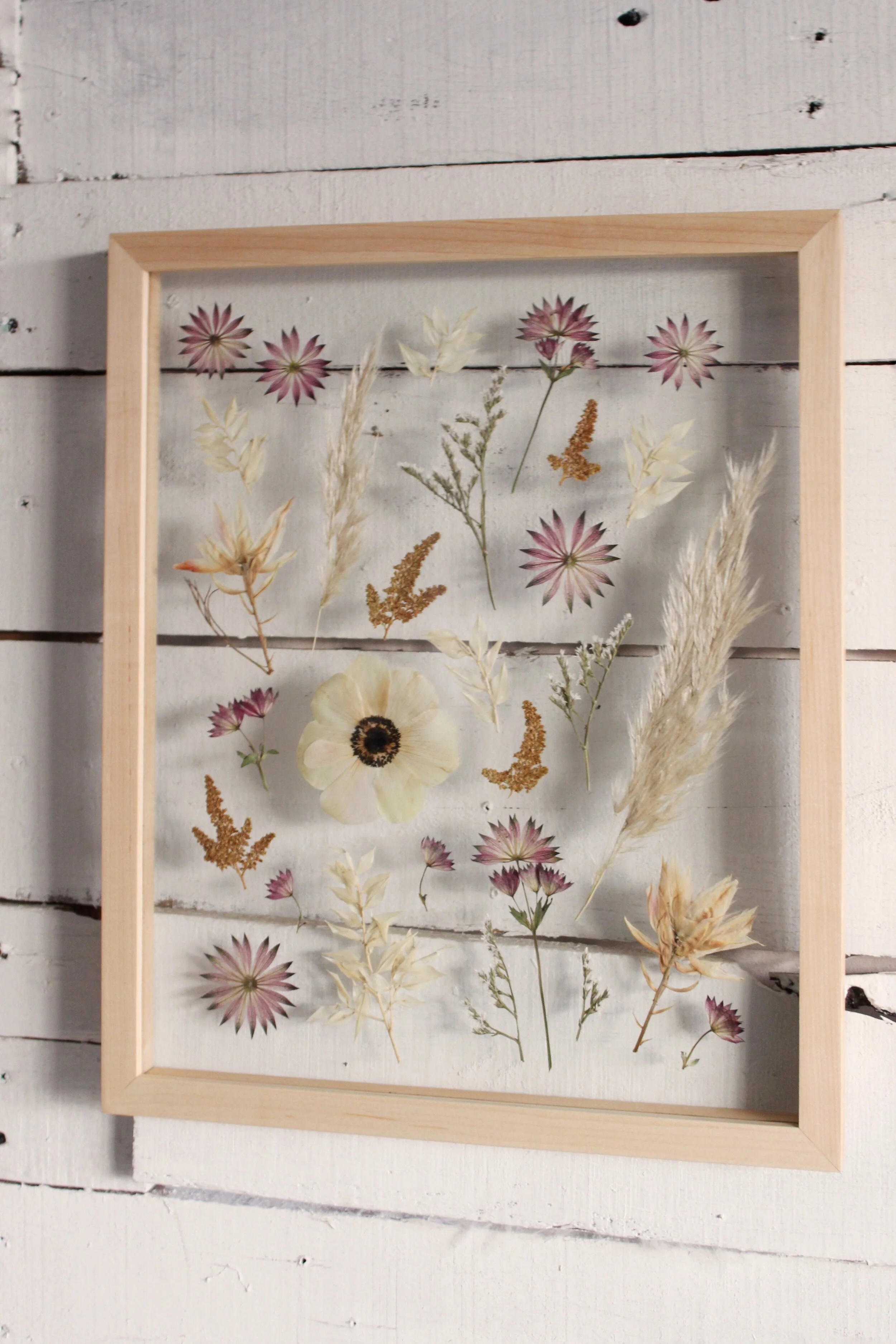 Preservation Inquiry Info Framed Florals
