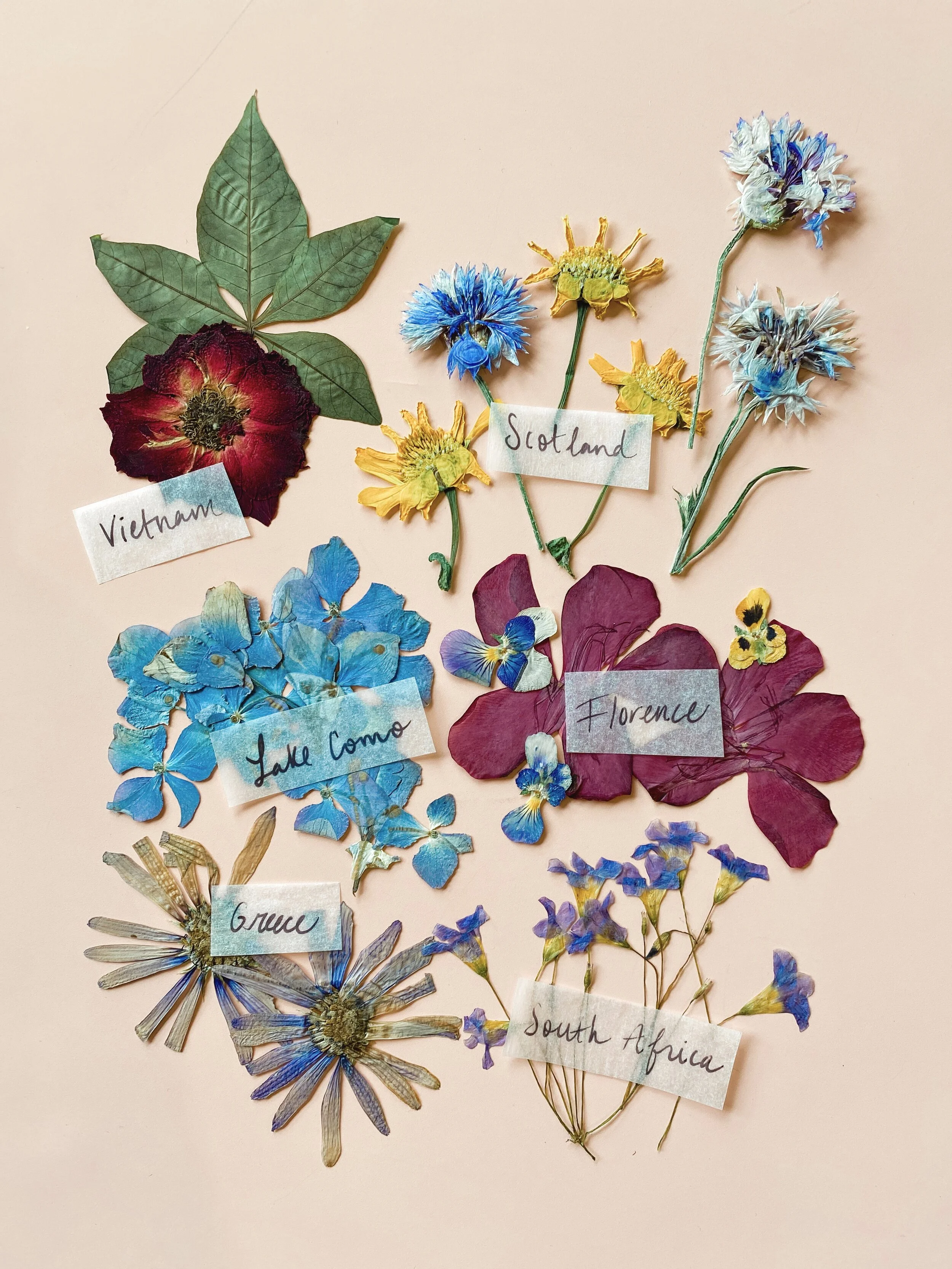 For Claire &amp; Jack