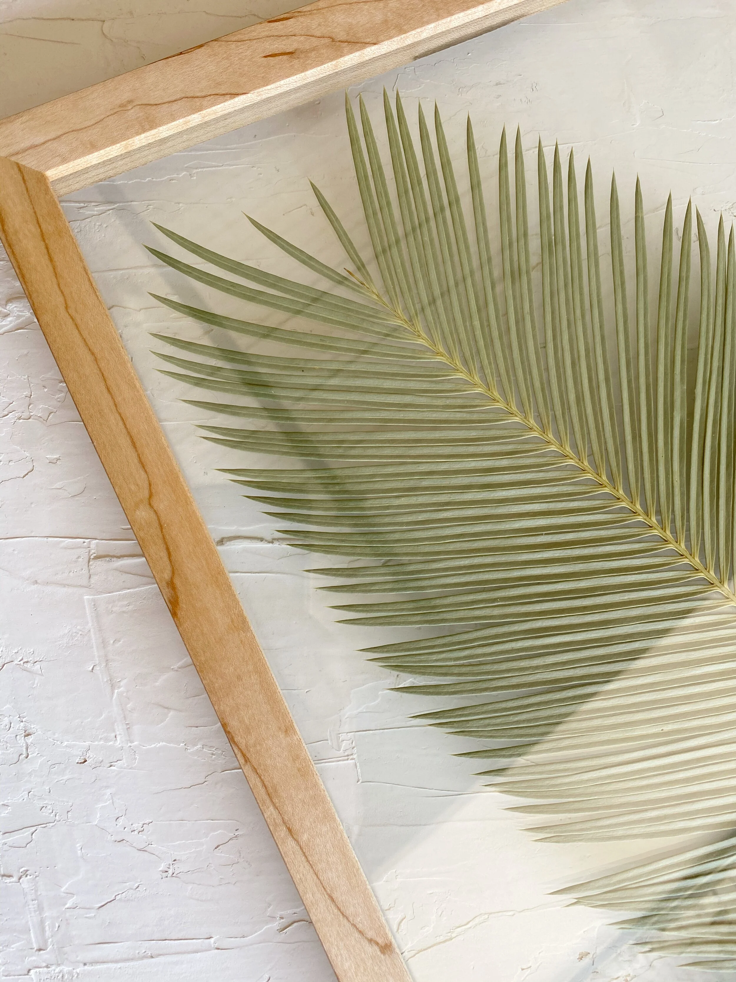 ACED62C6-3504-48DA-B545-EBAF0F38B39A