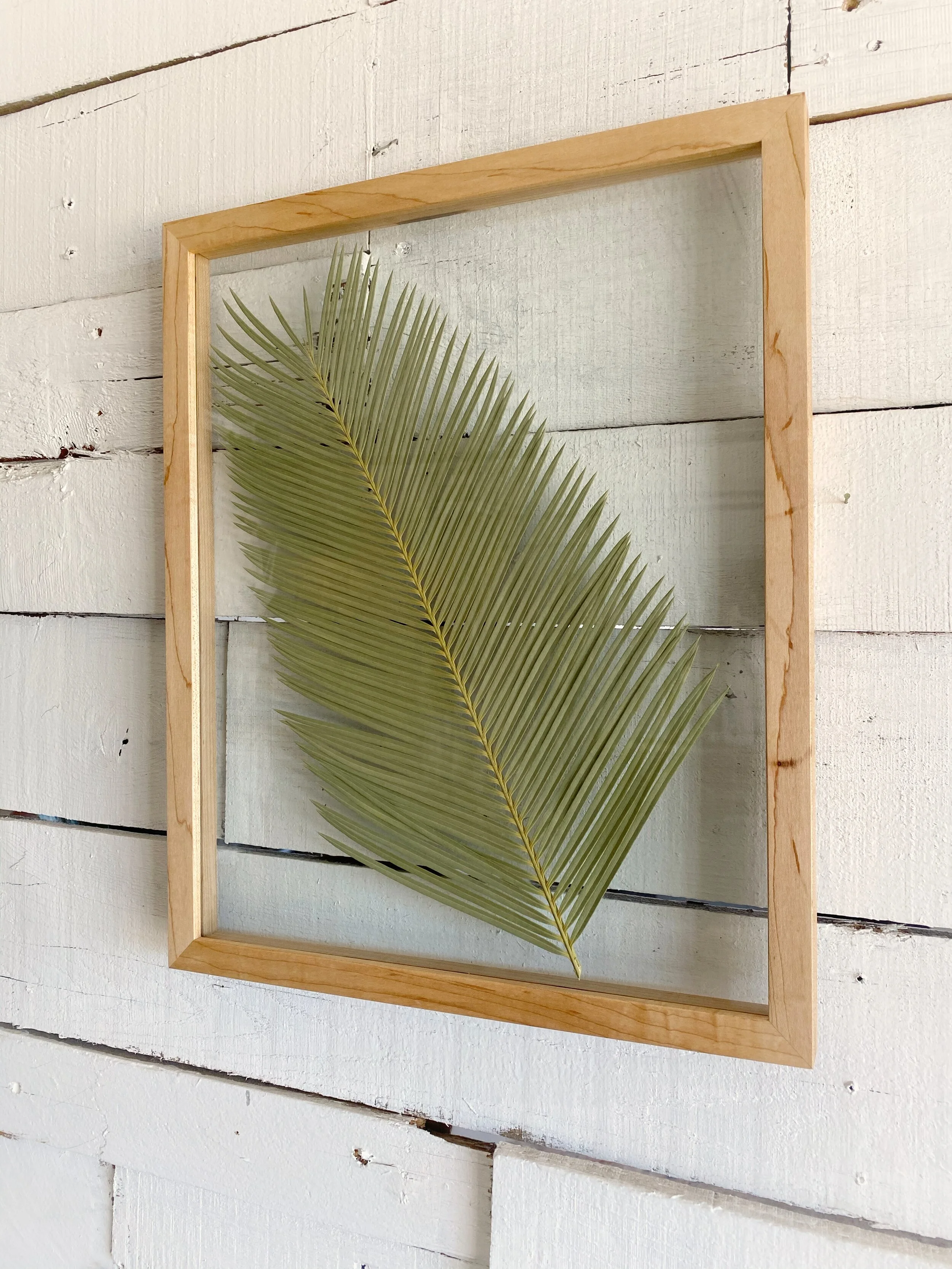 D29C0E74-0E38-4B21-9FEF-9CBCD38FA9C9