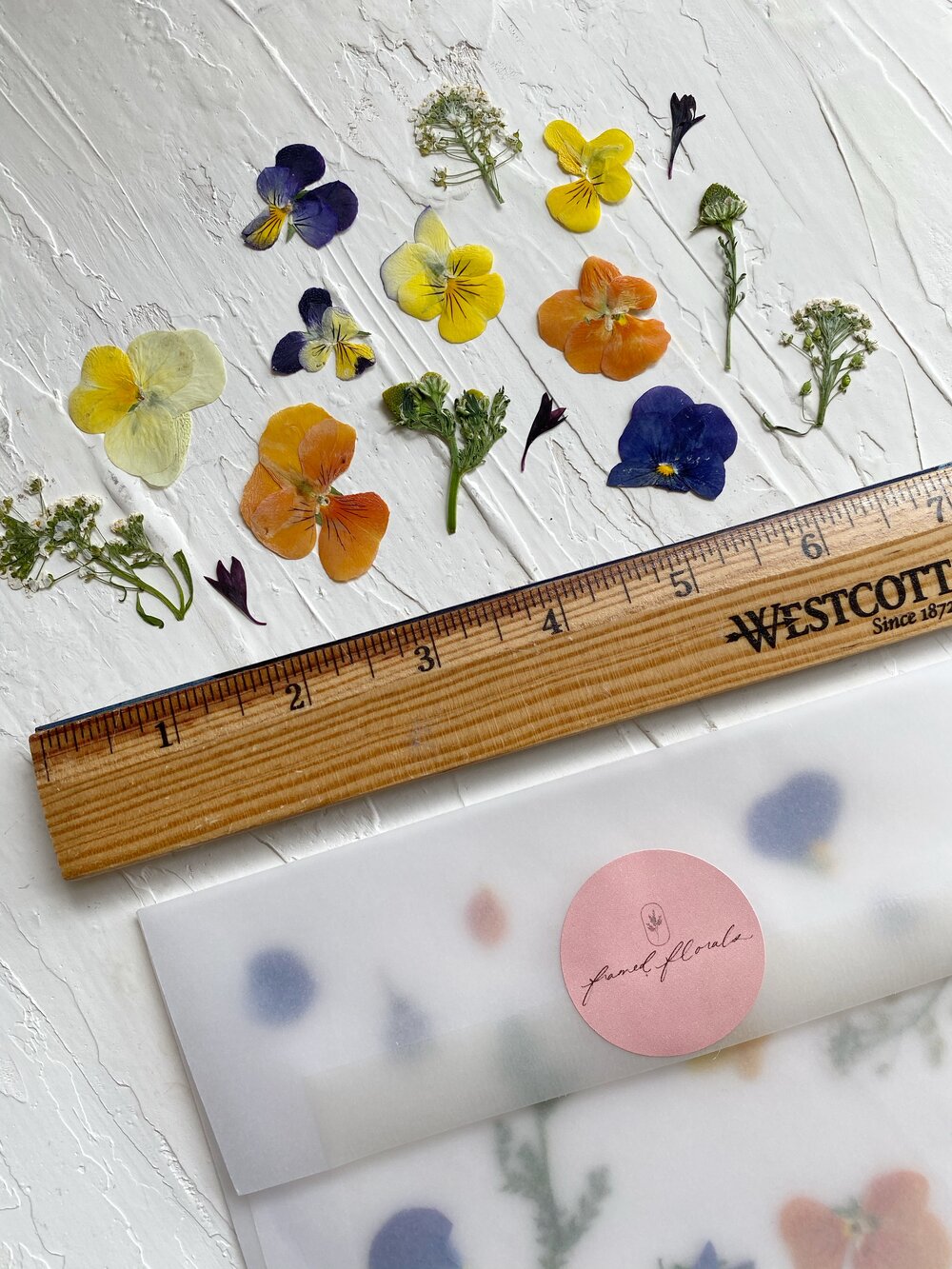 Shop  Edible Flowers, Pressed Edible Flowers, and Botanical Products  Magnolia's Yarden