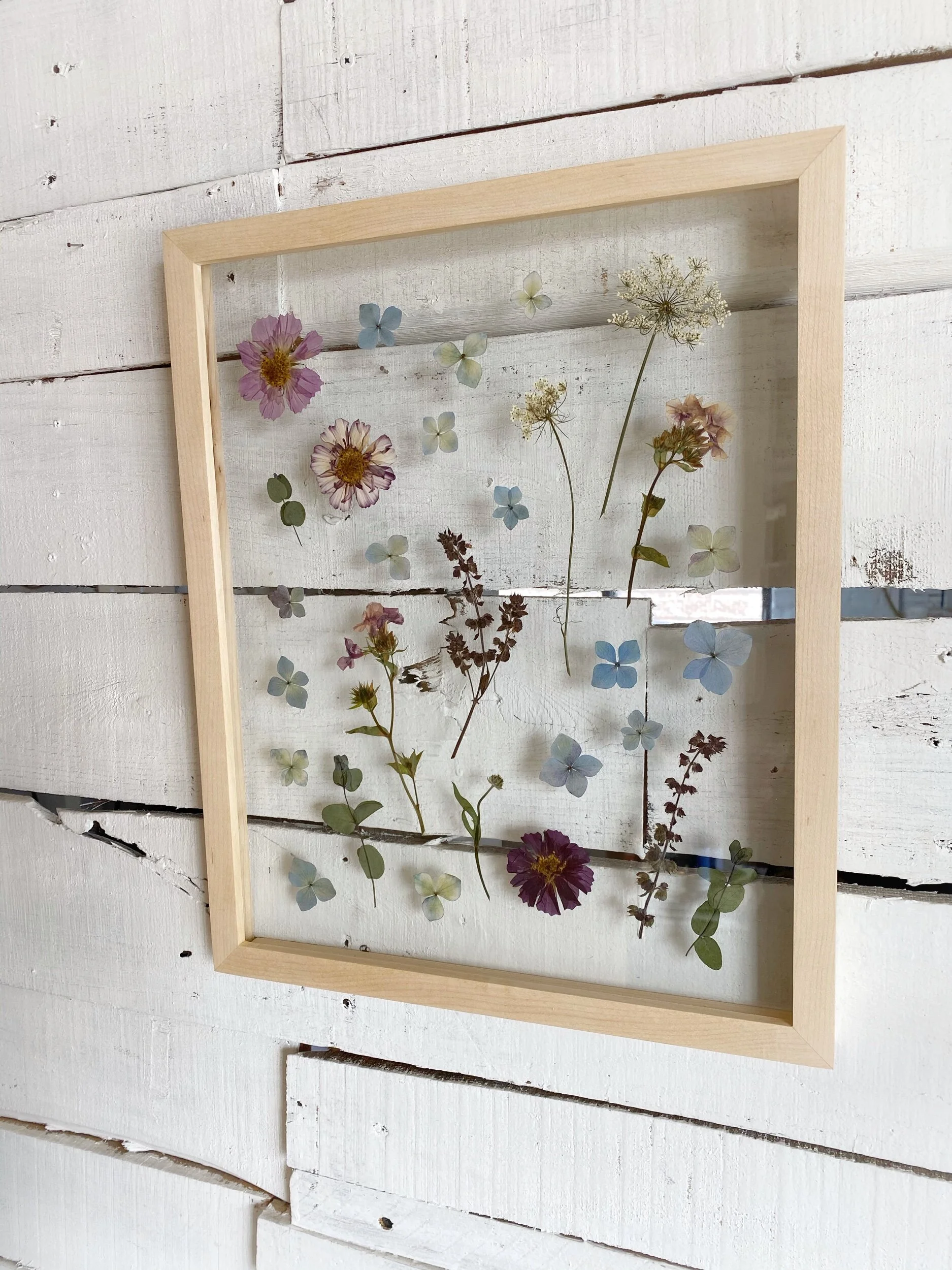 494DC348-F029-4216-A2FA-BF9FED12428C