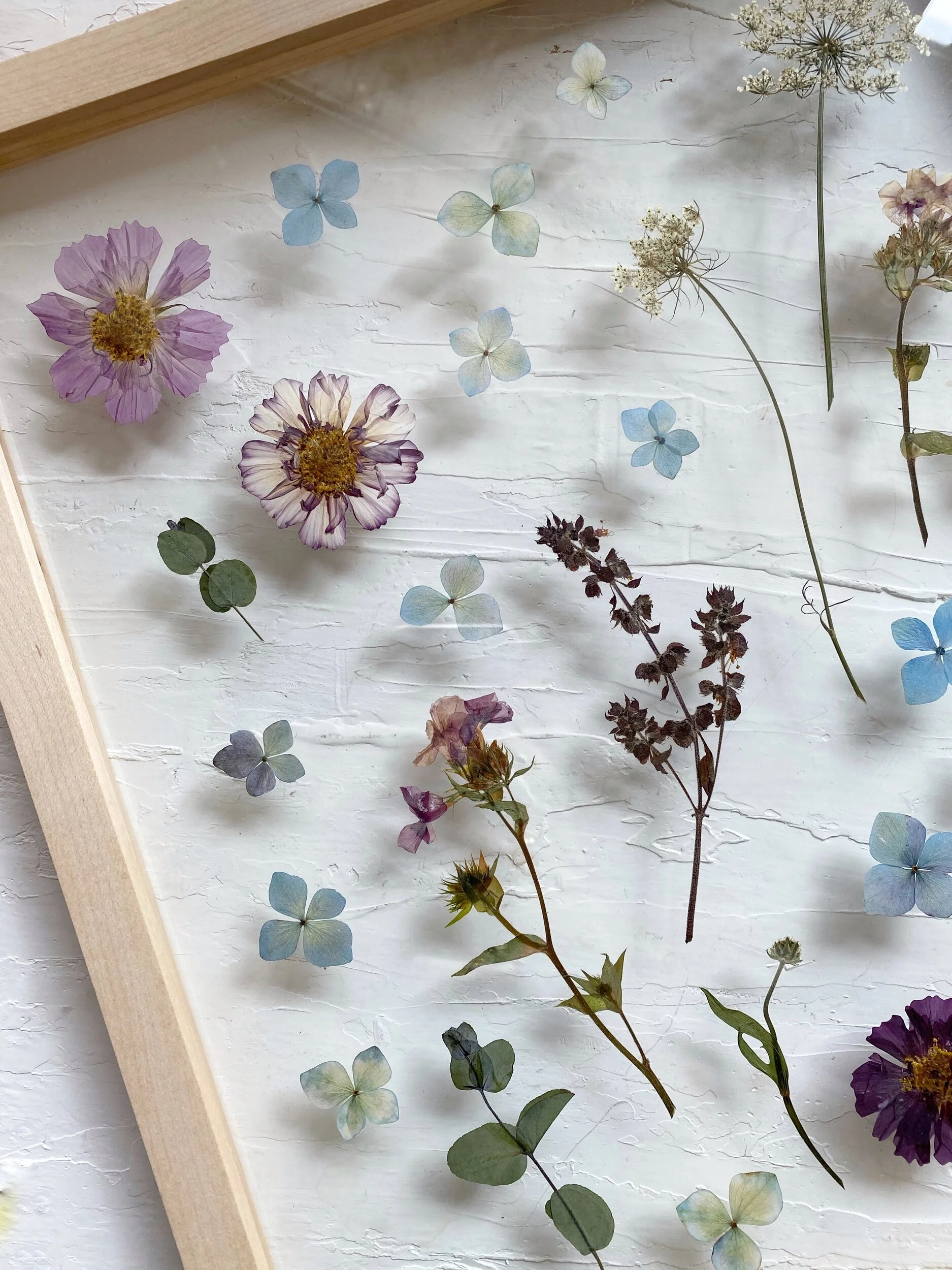 89F66E49-2561-498D-8ACB-CFC9BF0BE14B