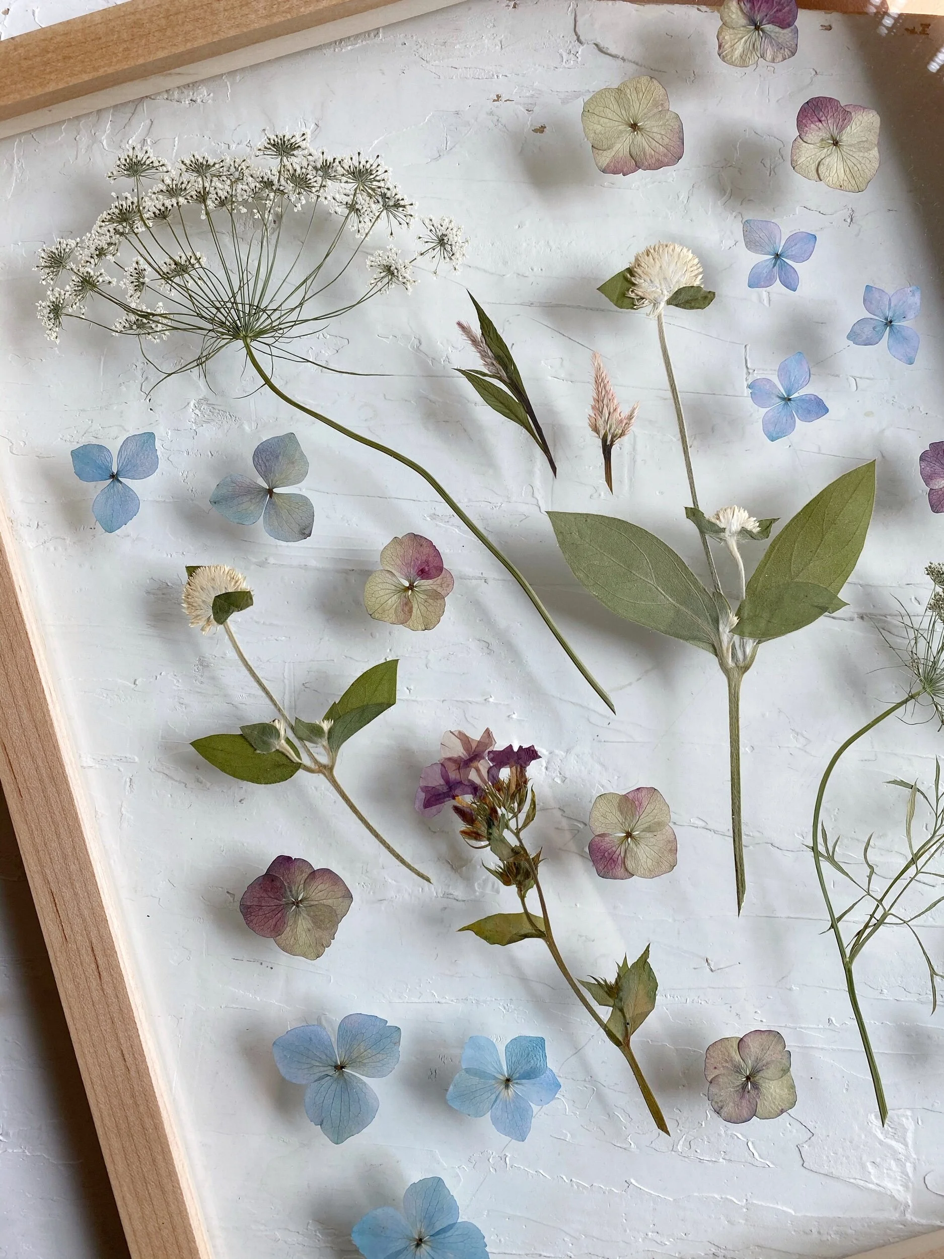 51280C22-EF0B-42B9-BFA1-D6FFEC6605E6