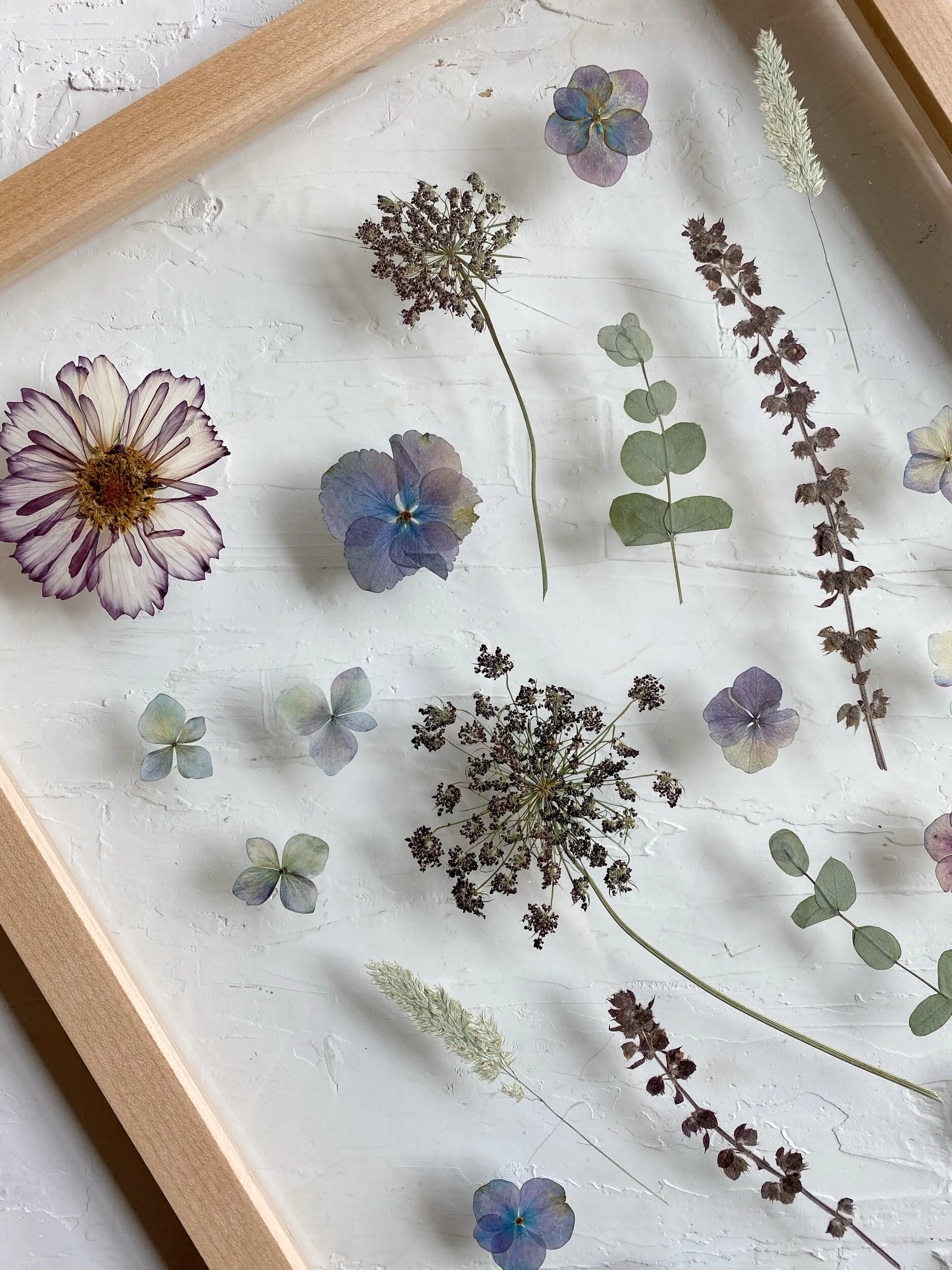 F50F58E8-486C-4077-8CEF-981E905D8B8B