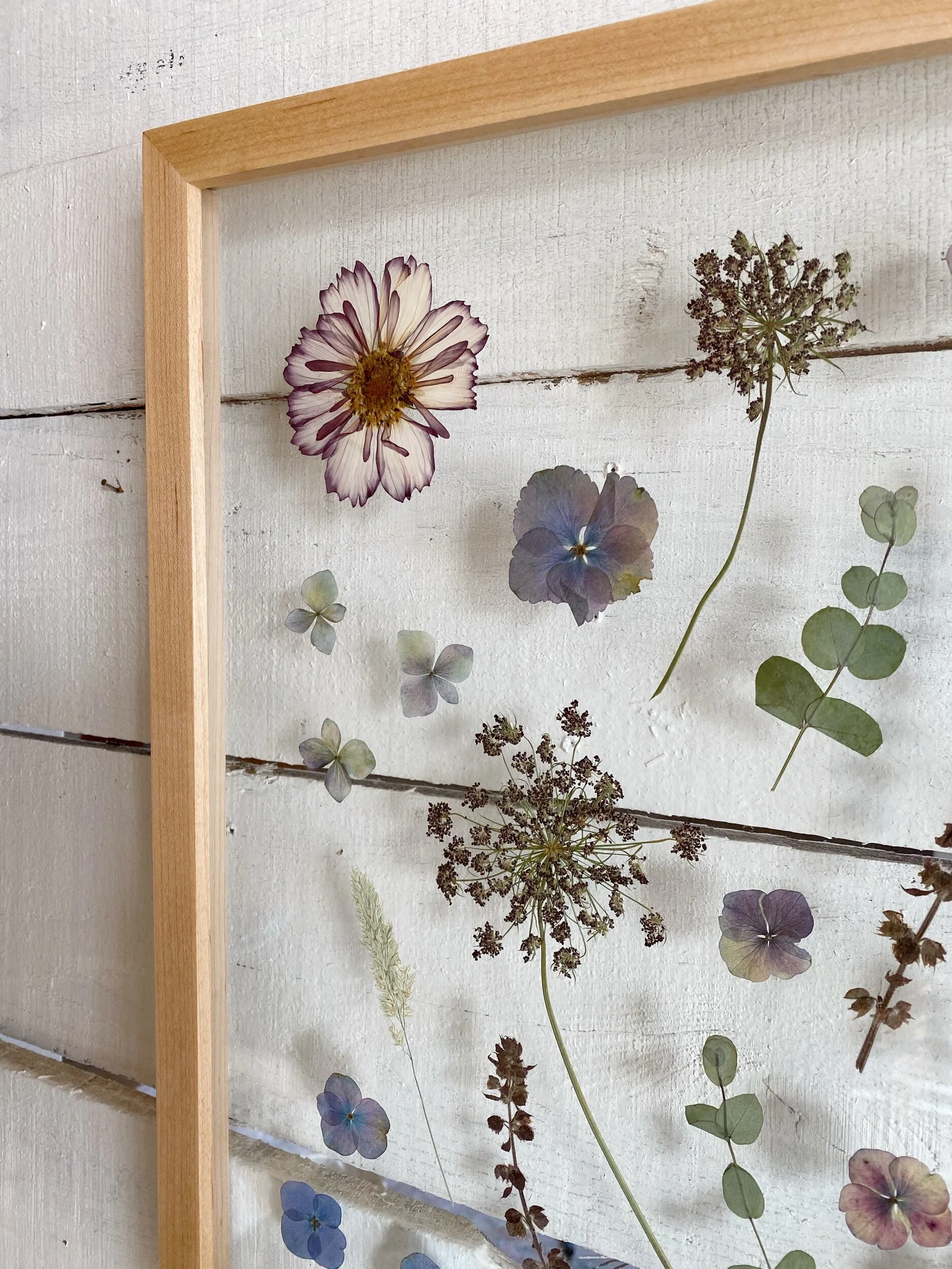 4D7A05B2-FEFA-4964-BE24-F5748B8F73EE