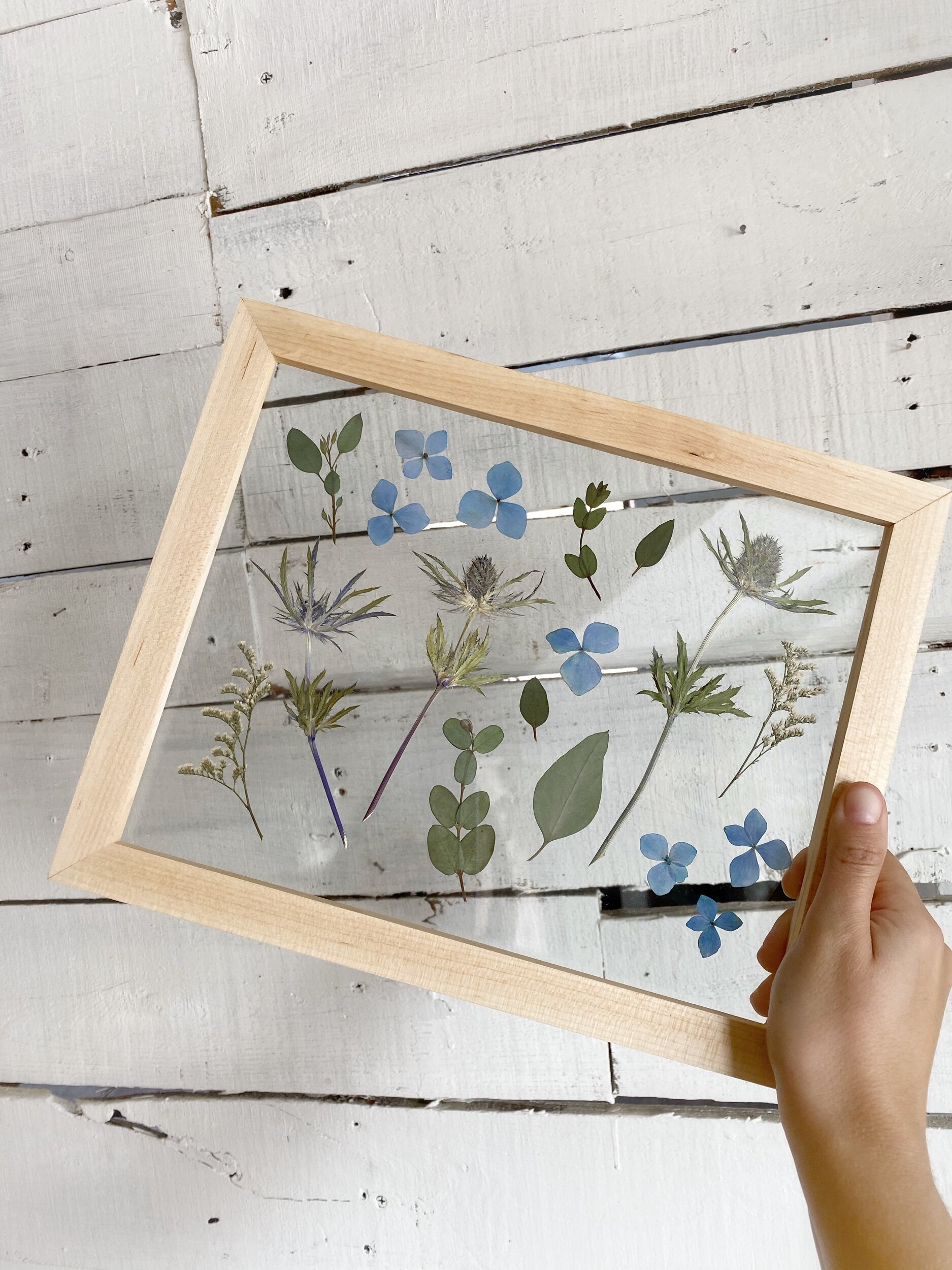 7605D441-CE02-4225-990E-5ABDB0E960CB