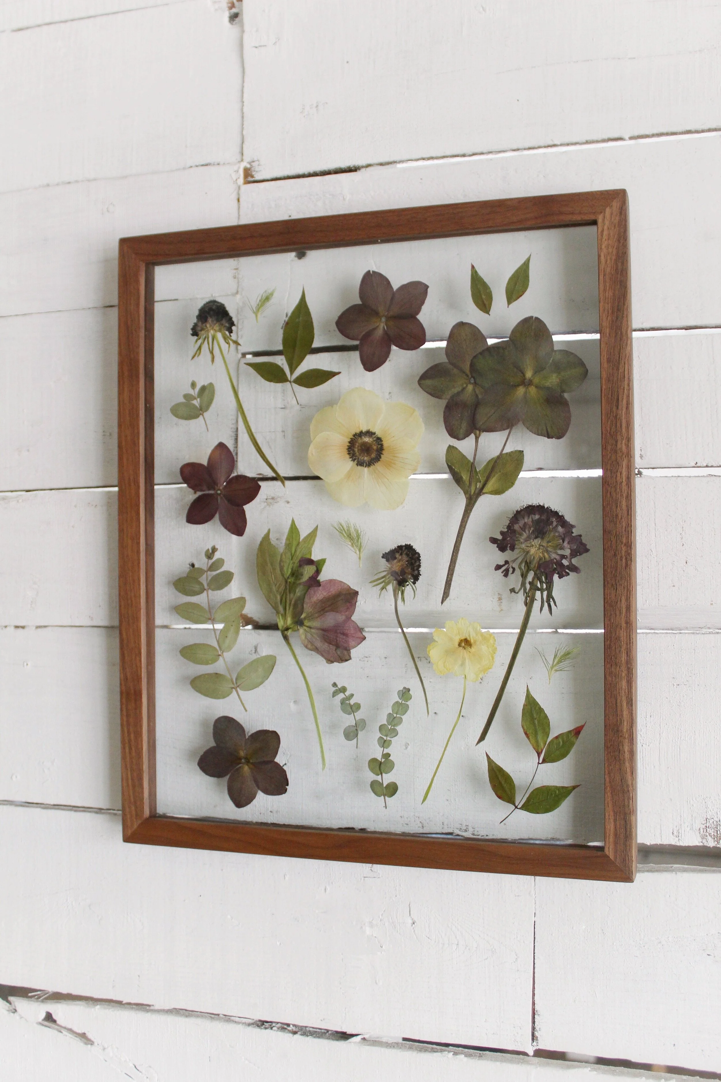 Floral Preservation Information Framed Florals