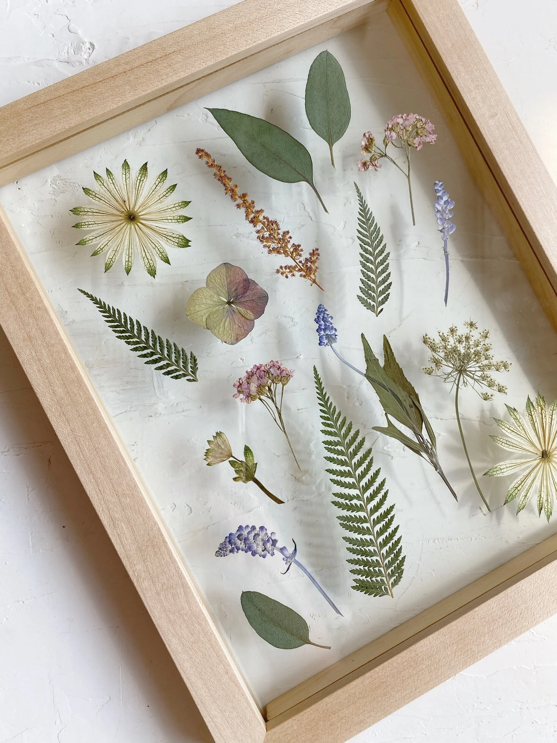 36C561AB-8D3E-438A-8DC5-365E6CDECC28