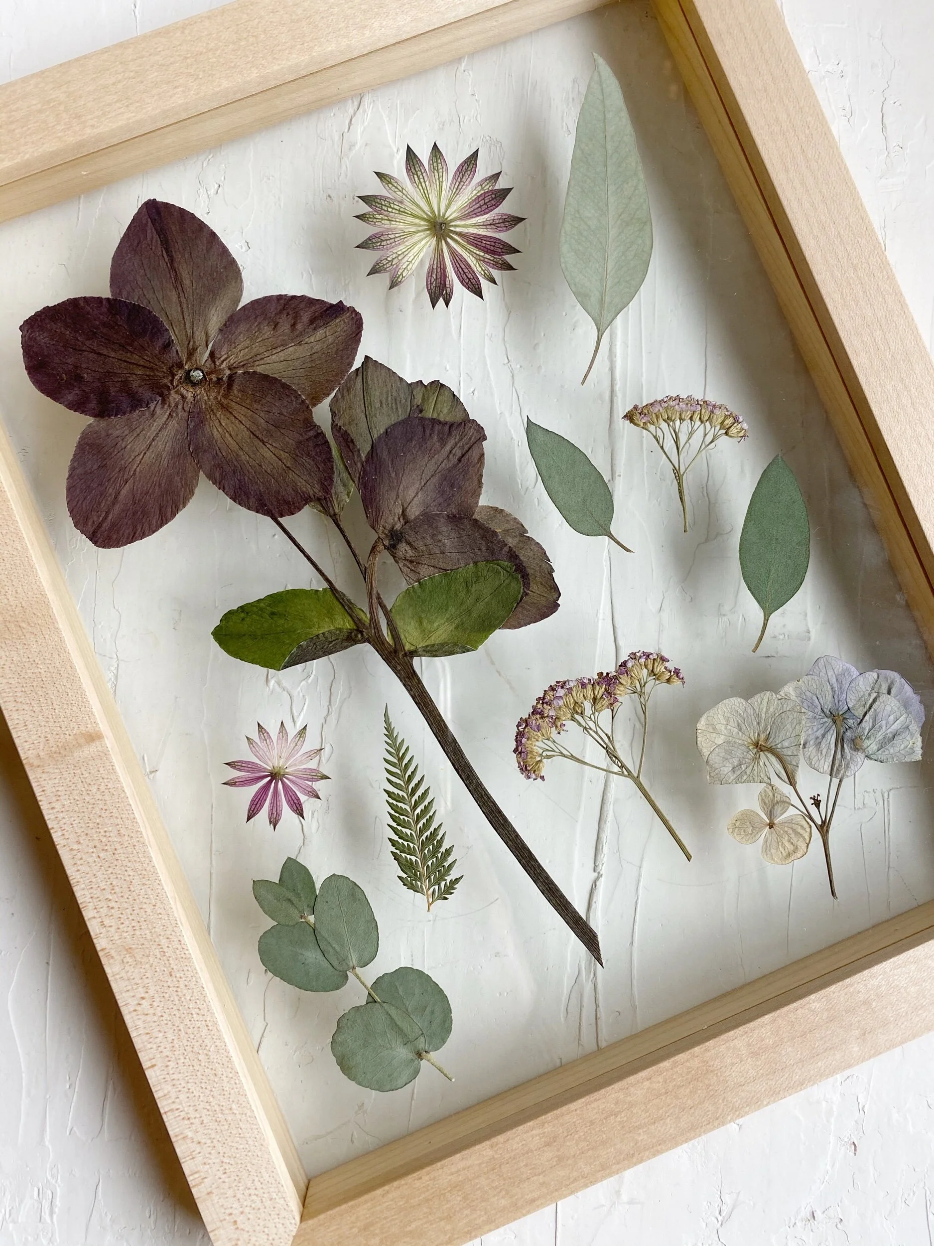 5E1FC3D8-8011-4095-A192-20D60C47301C