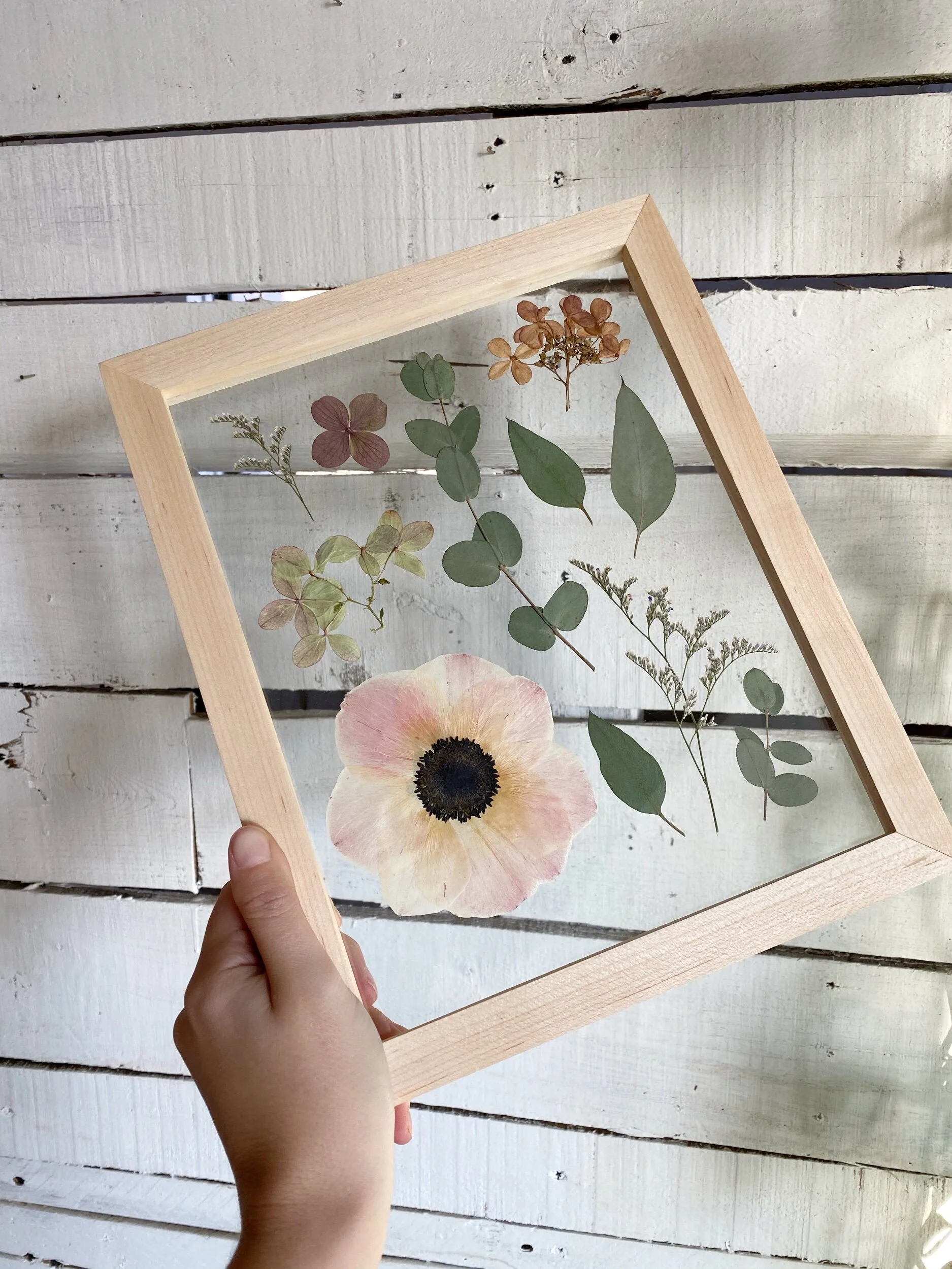 19DE2CFD-CA13-4000-99A5-D59F967FD6ED