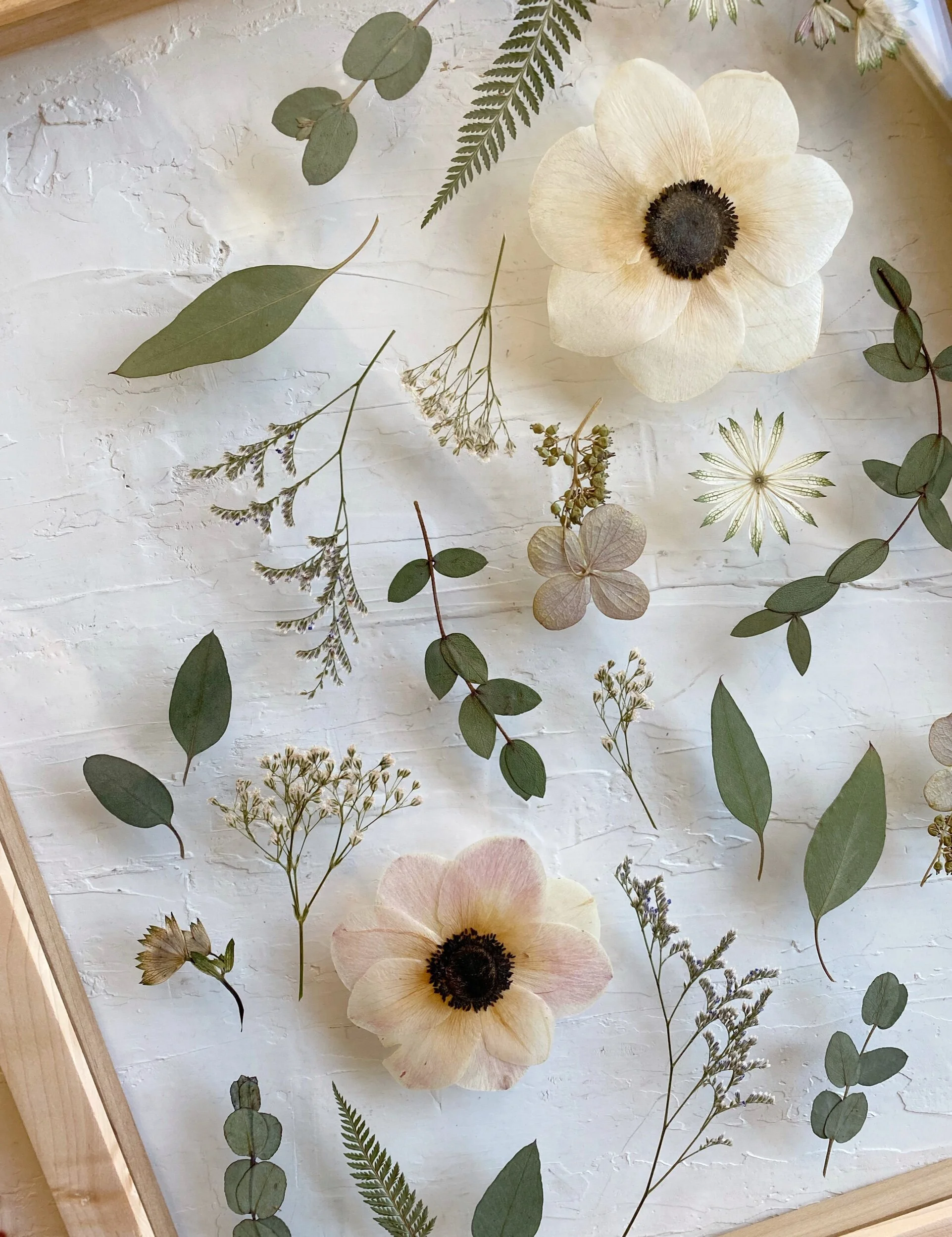 7DBBA631-F9C6-4B43-8E1B-9E960FBAFA06