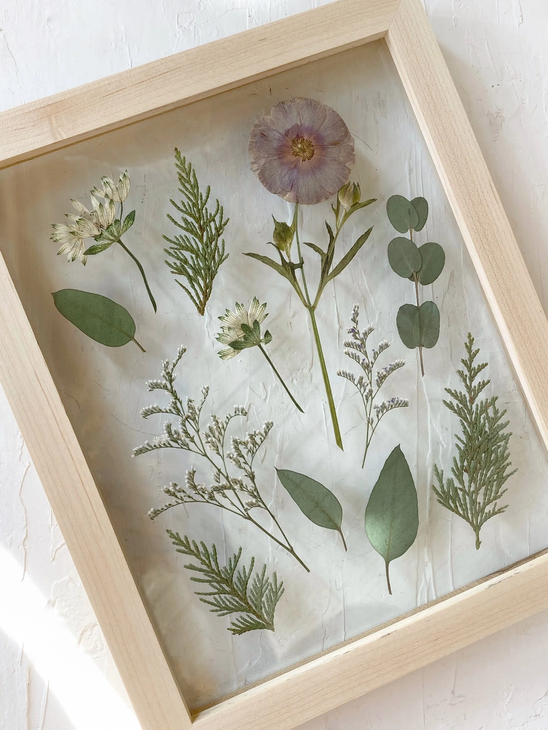 A2595297-507D-432F-BEBF-B461053EDE06