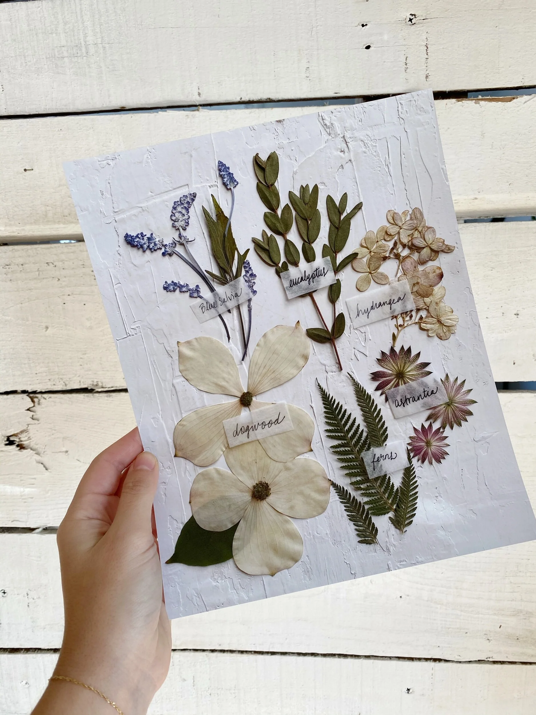 1CB17724-6FAC-433B-8CDF-52AF617F684C