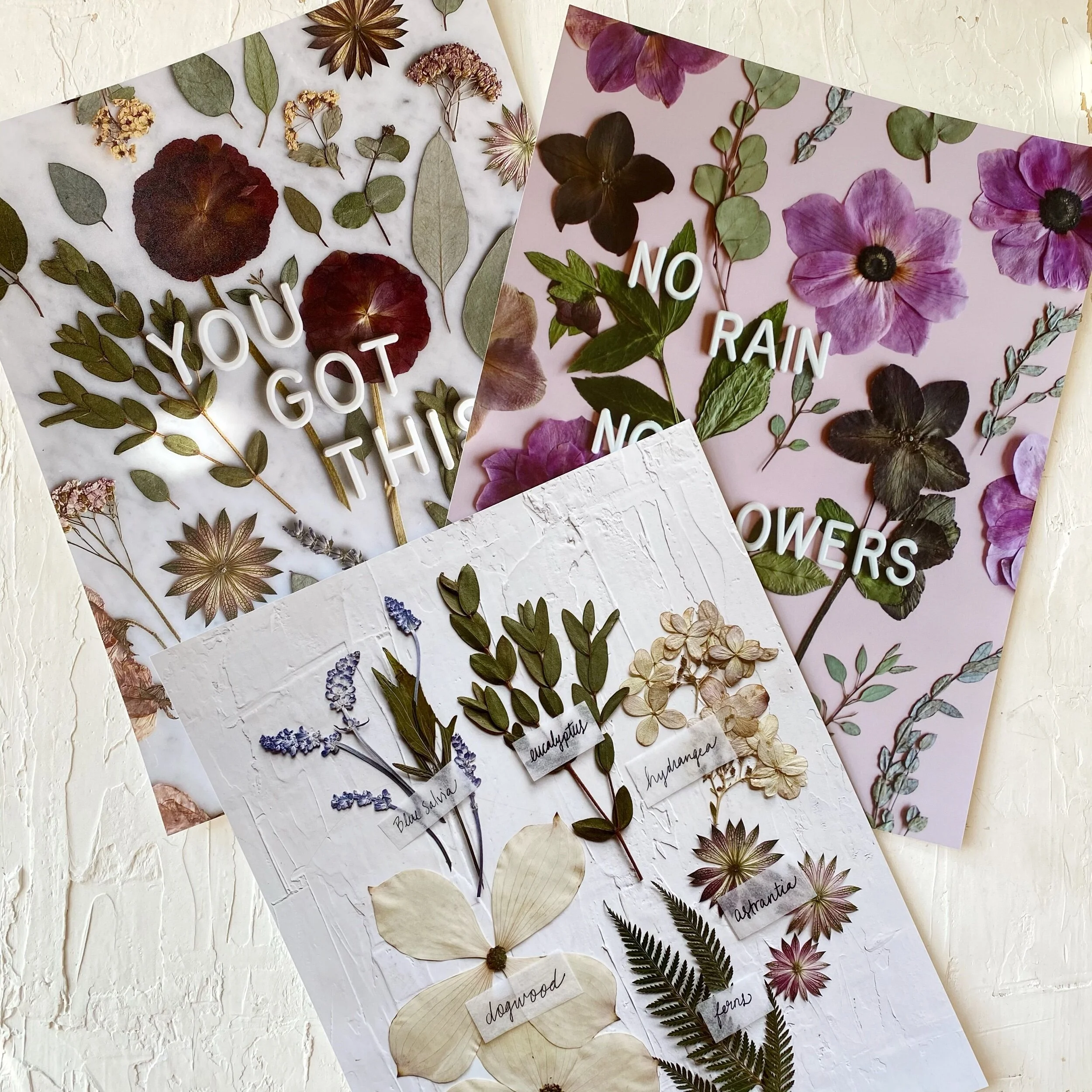 AA3BB03B-C091-43A2-A43A-02A236F064CF