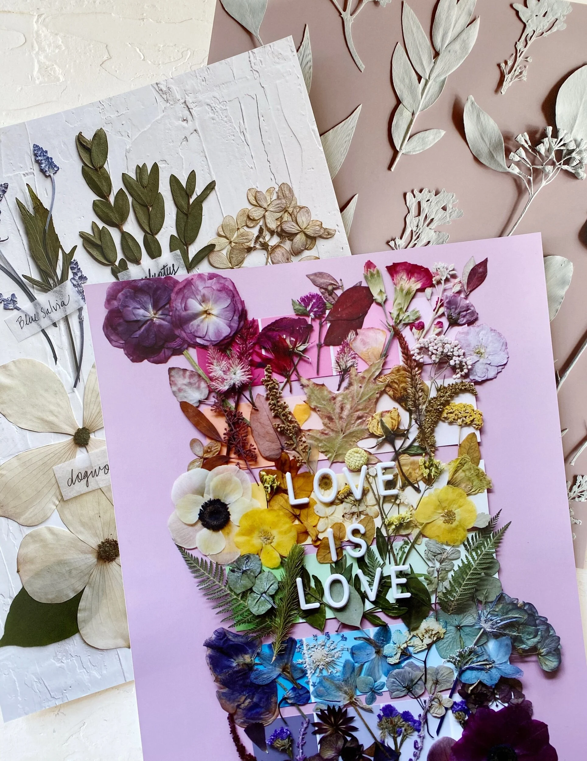 3A1BBB4E-EA8F-43CC-B318-1067C08B0B38