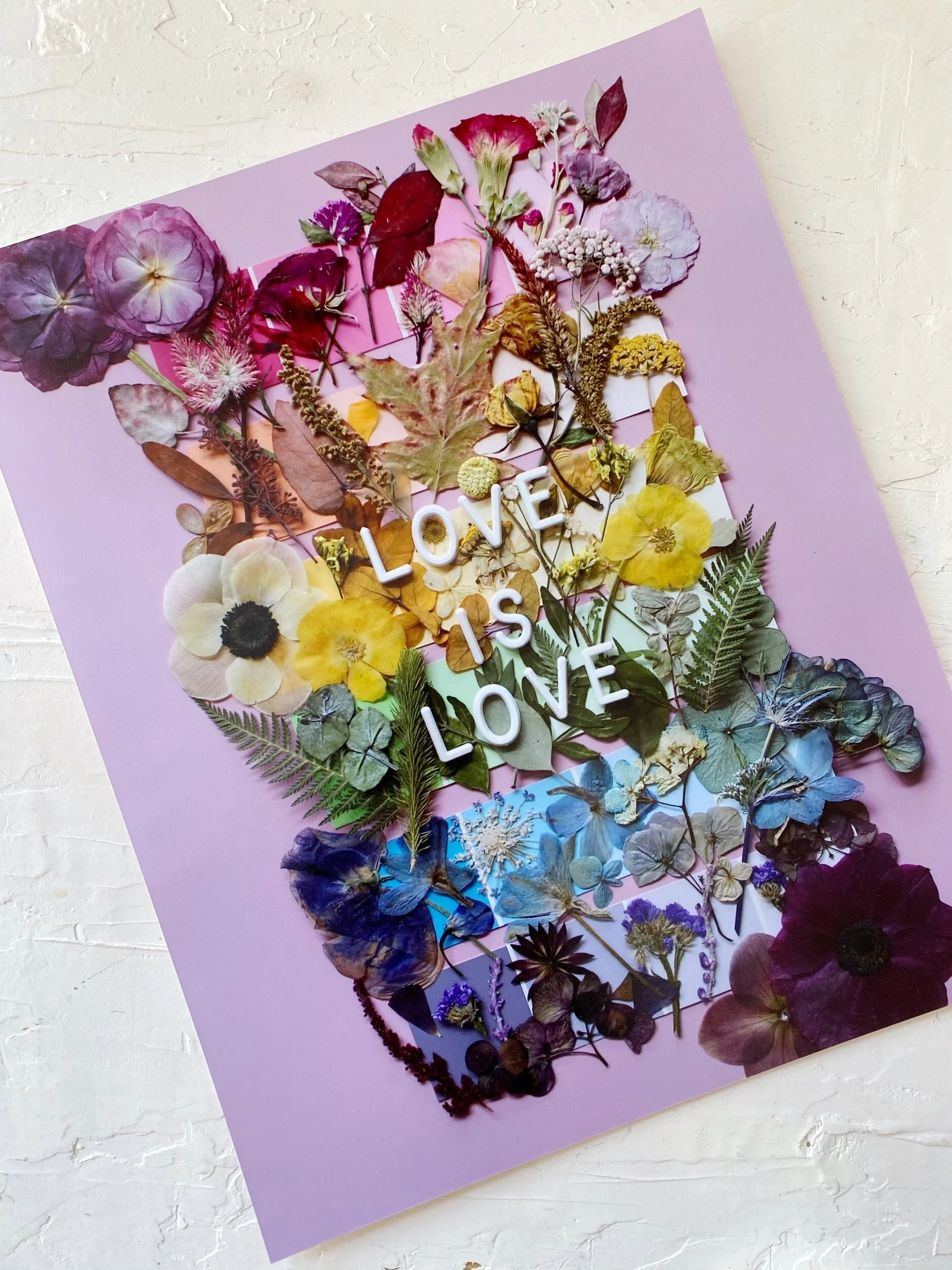 8D14D609-4296-4111-922E-4C79EC7278E2