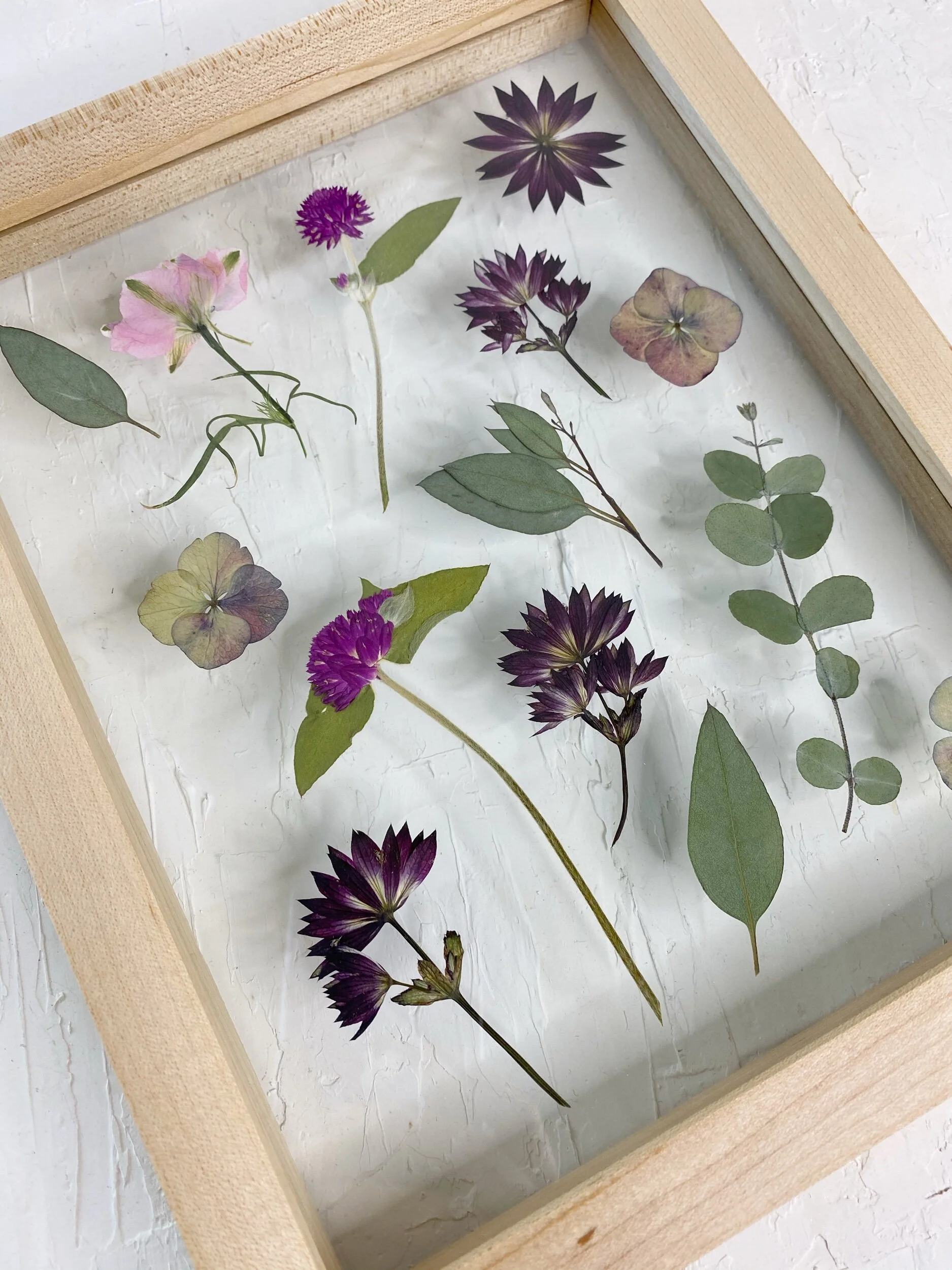 244E0ABB-EA04-4F7B-B8D2-134B52B1AAC2